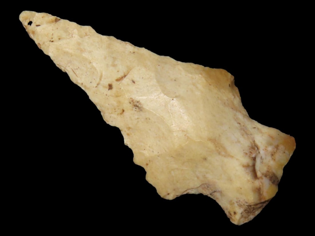 Nice Bolen Bevel found in Southern Georgia, Indian Arrowhead, Artifact. (1 of 6)