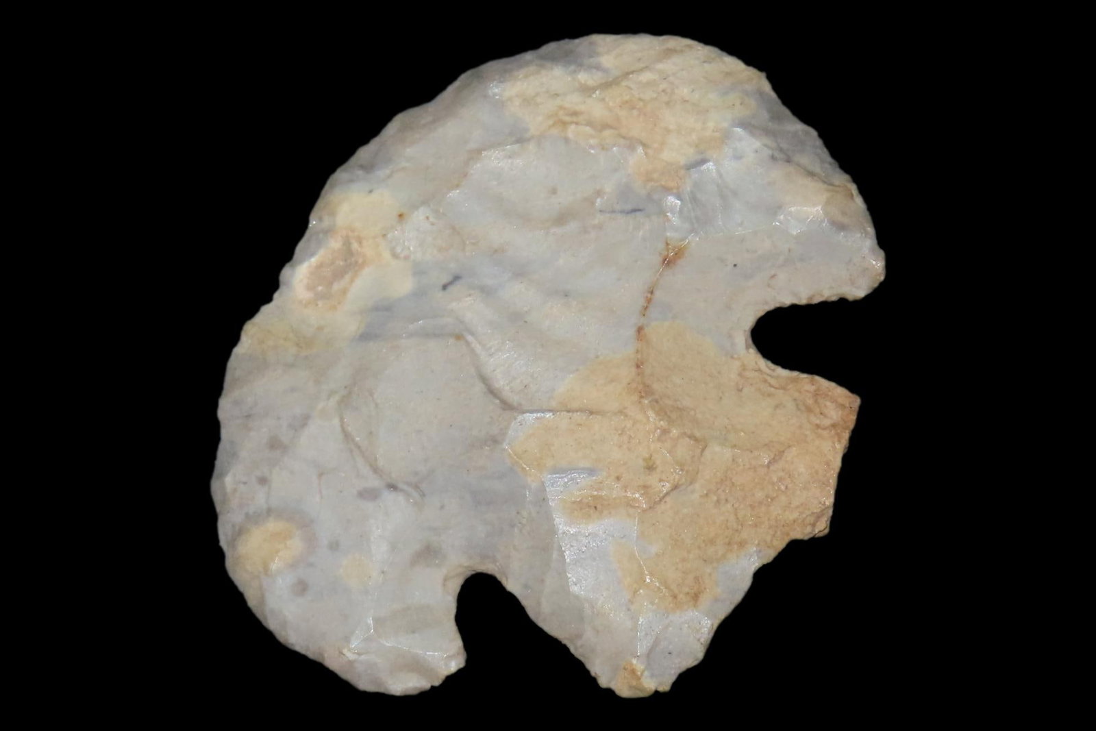 Nice Texas Base Tang Hafted Scraper / Blunt found in Bandera County TX. Indian Arrowhead, Artifact, (1 of 5)