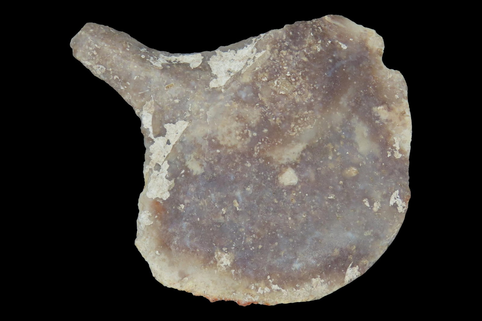 2 3/4" Texas Paddle Drill found in Bandera County TX. Indian Arrowhead, Artifact. (1 of 6)