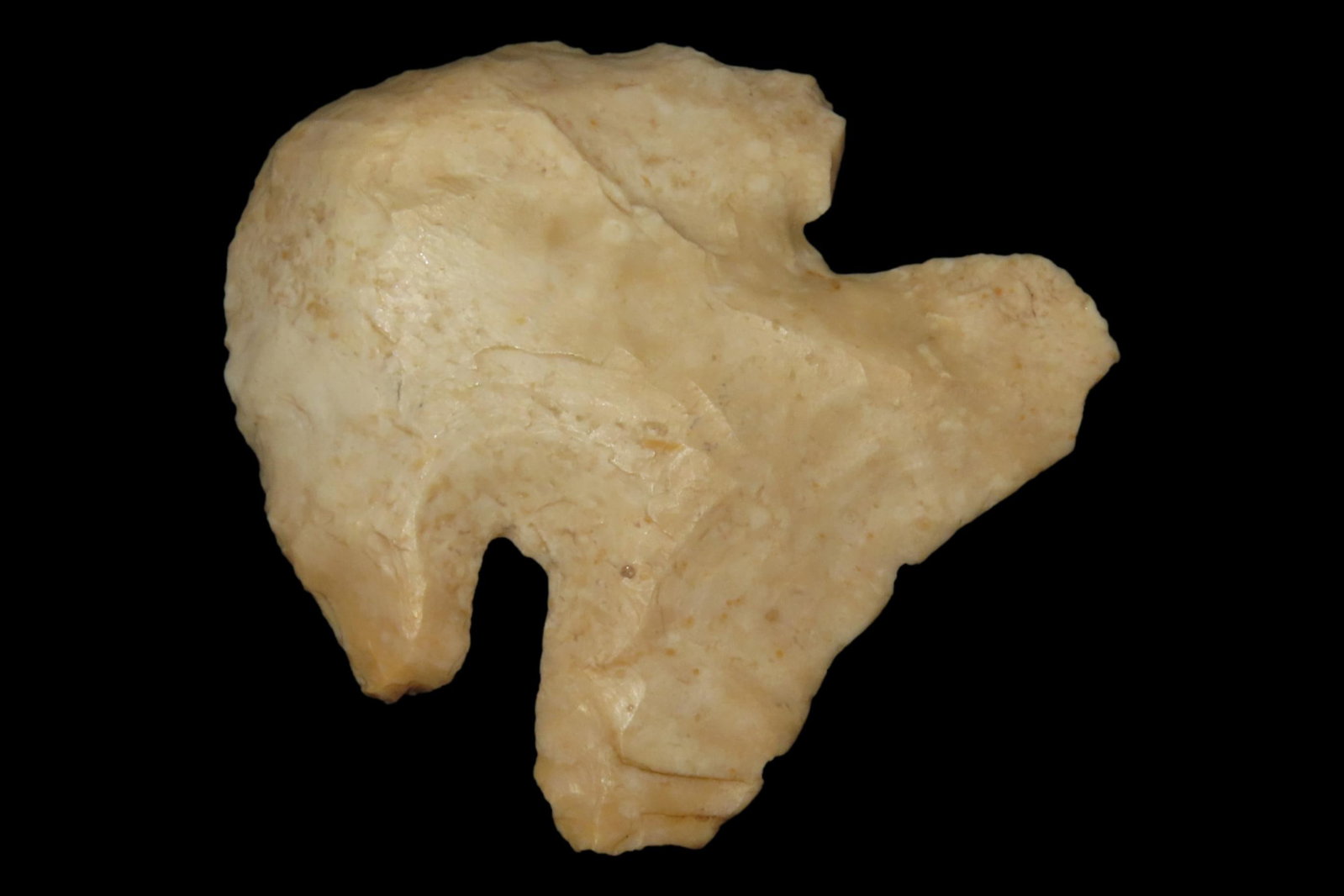 1 3/4" Thebes Blunt, Found in Illinois (1 of 8)