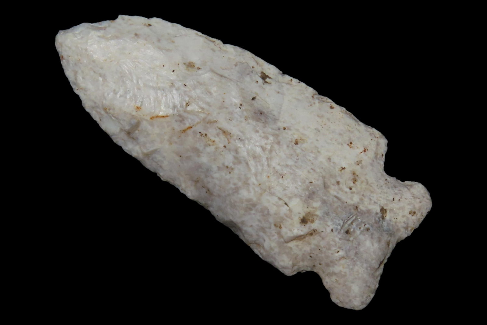 2 7/8" Matanzas Point, Found in Iowa: 2 7/8" Matanzas Point, Found in Iowa