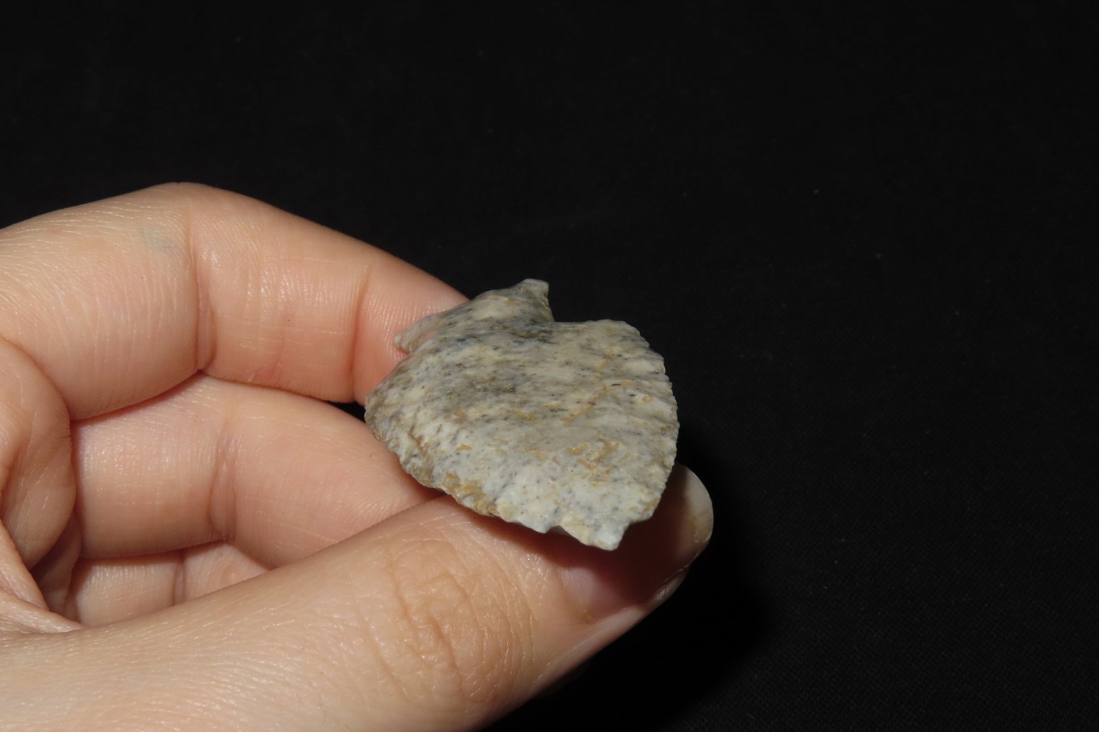 2" Table Rock, Scott Co., Illinois - 6