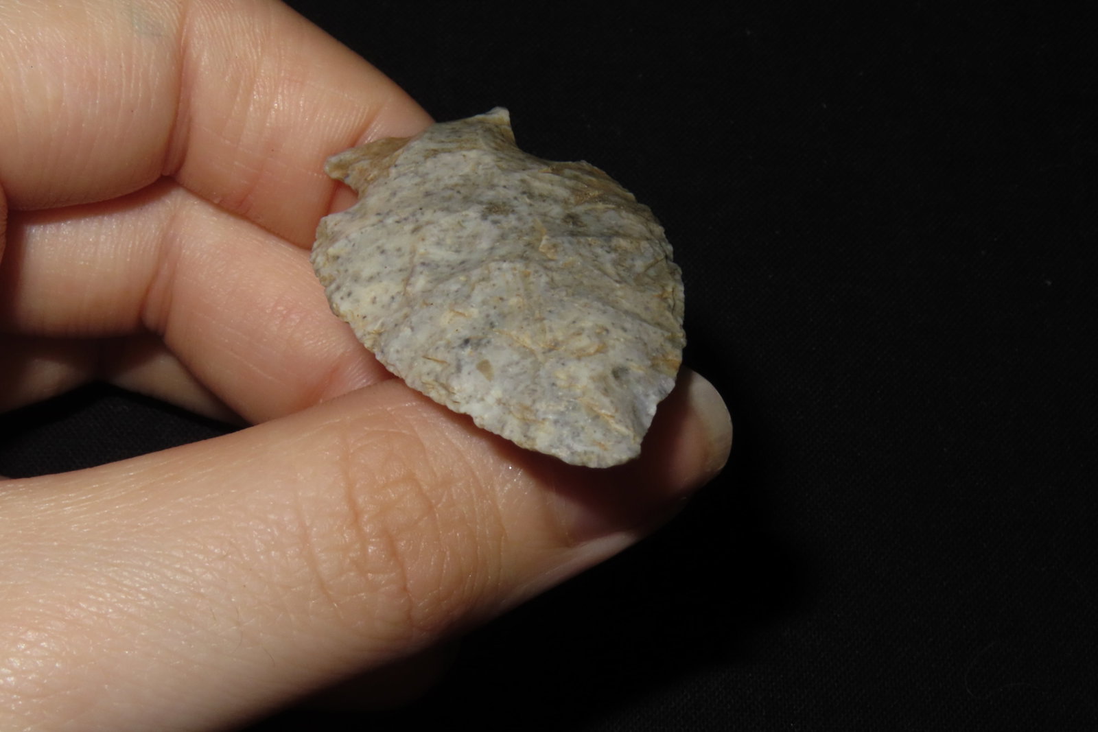 2" Table Rock, Scott Co., Illinois - 7