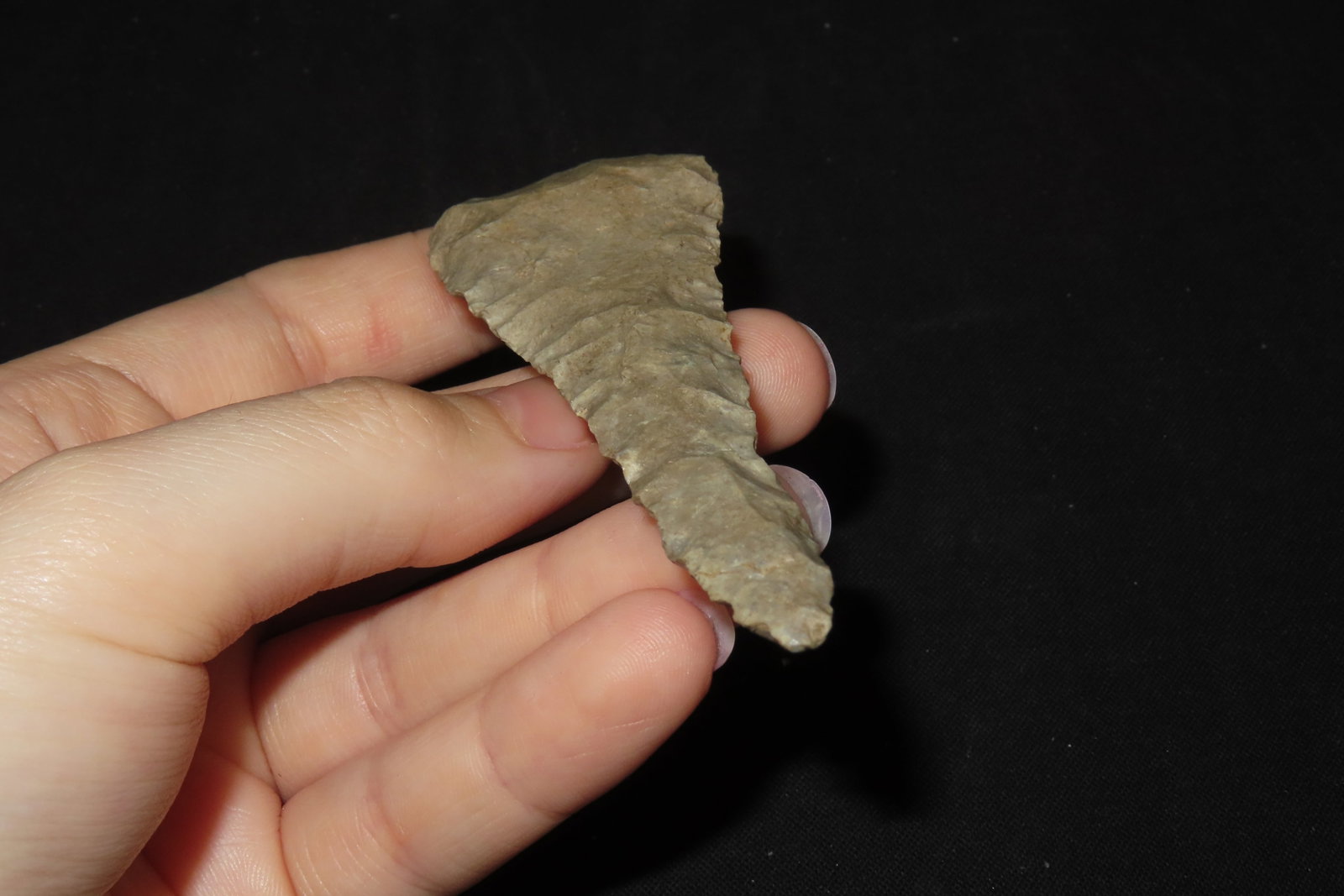 3 3/4" Cobbs Blade, Found in Iowa - 6