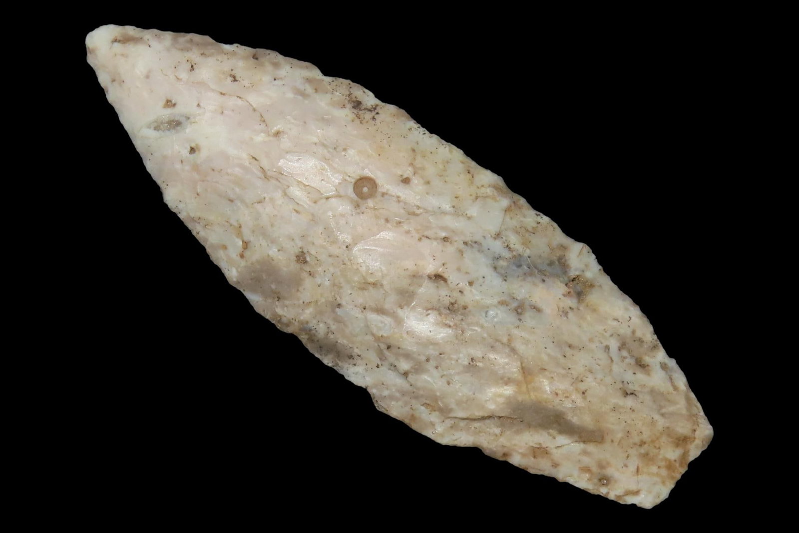 2 7/8" Angostura Point, Clark Co., Illinois: 2 7/8" Angostura Point, Clark Co., Illinois