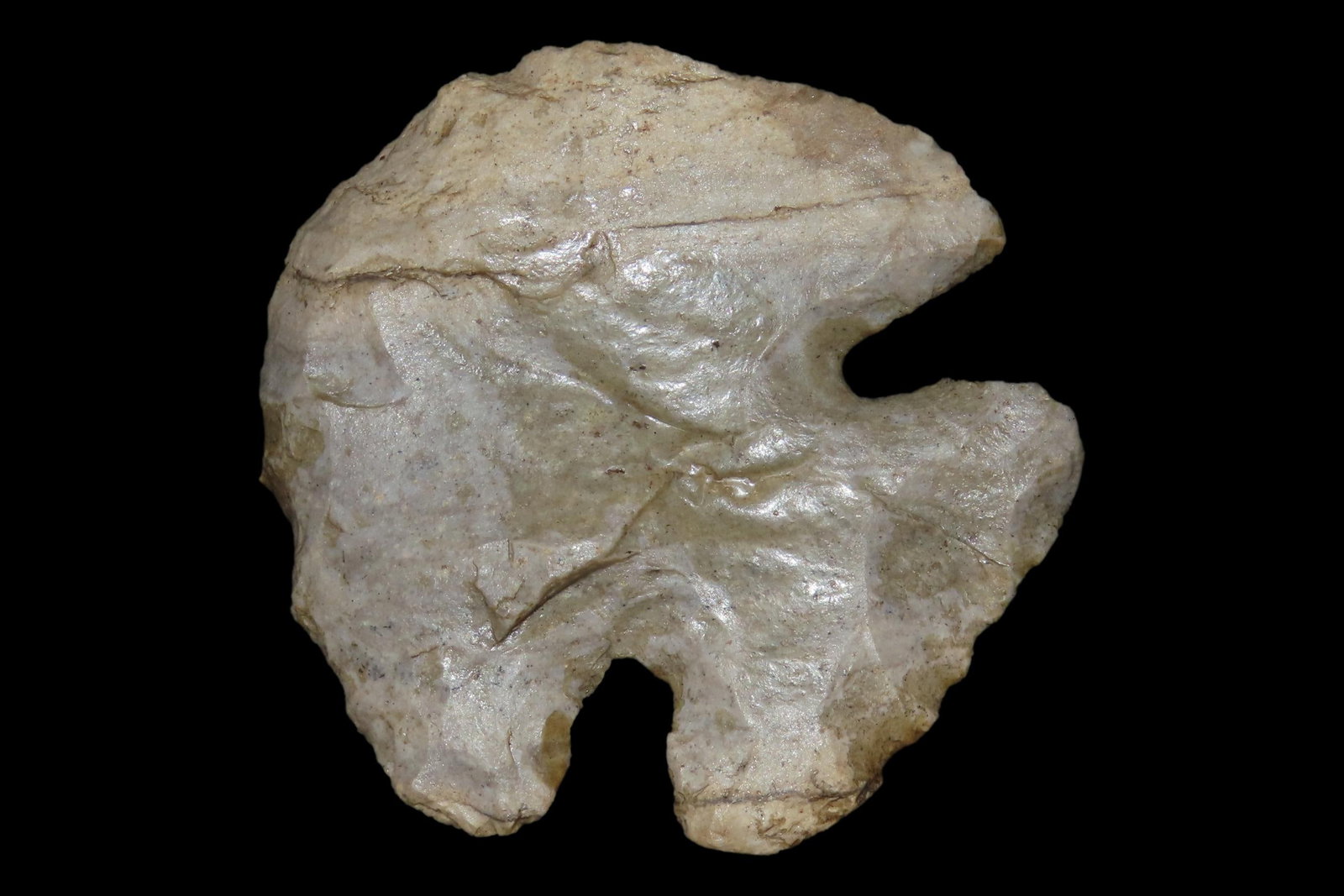 2 1/4" Thebes Blunt, Jersey Co., Illinois (1 of 8)