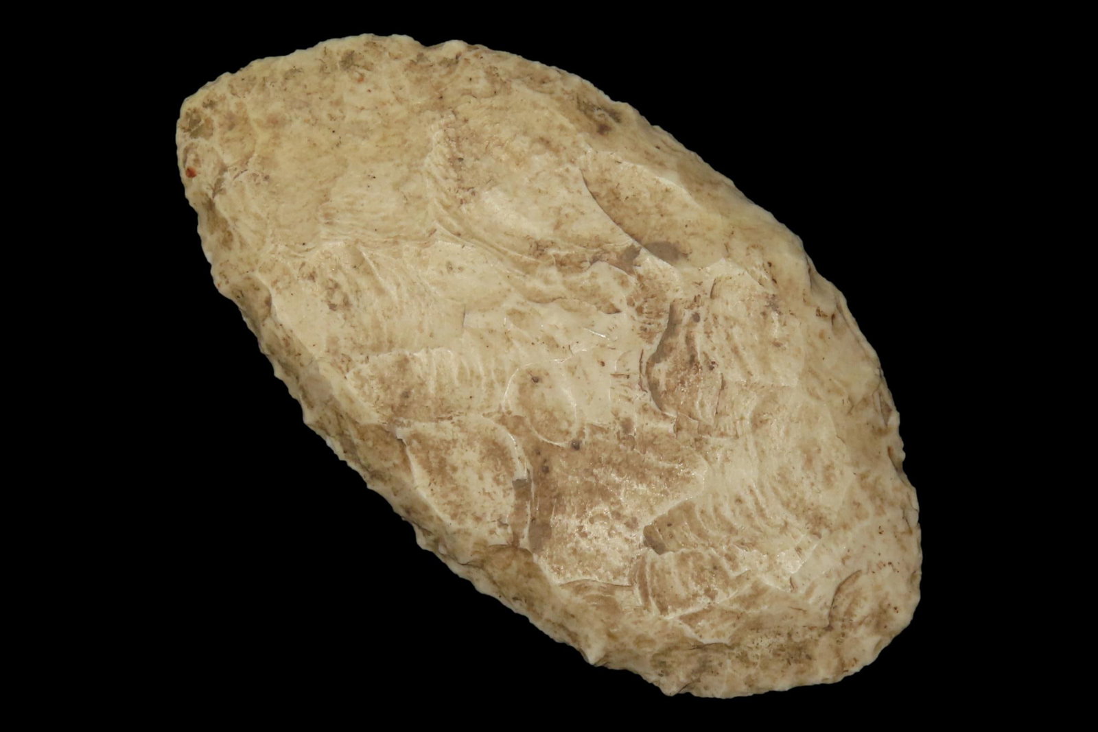 3 5/8" Paleo Blade, Jersey Co., Illinois (1 of 8)
