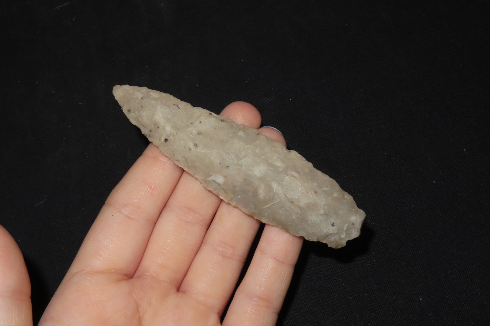 3 7/8" Lanceolate Point, Webb Co., Texas - 2