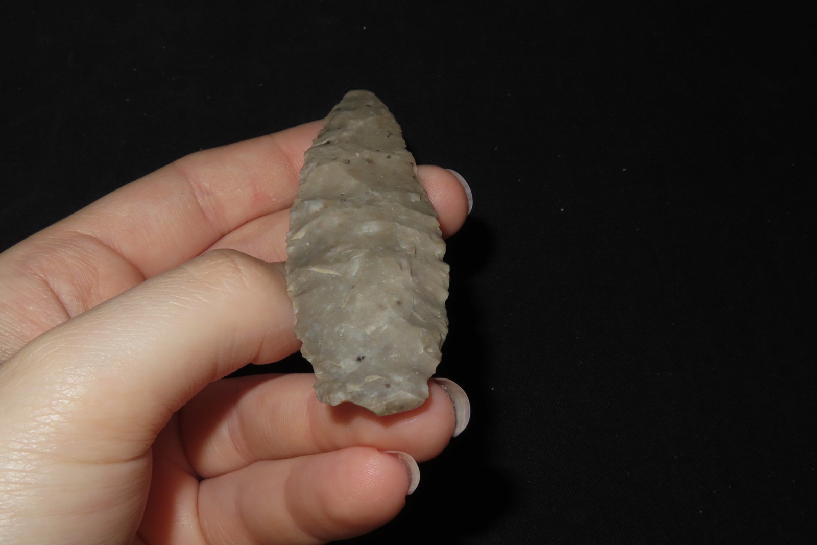 3 7/8" Lanceolate Point, Webb Co., Texas - 4
