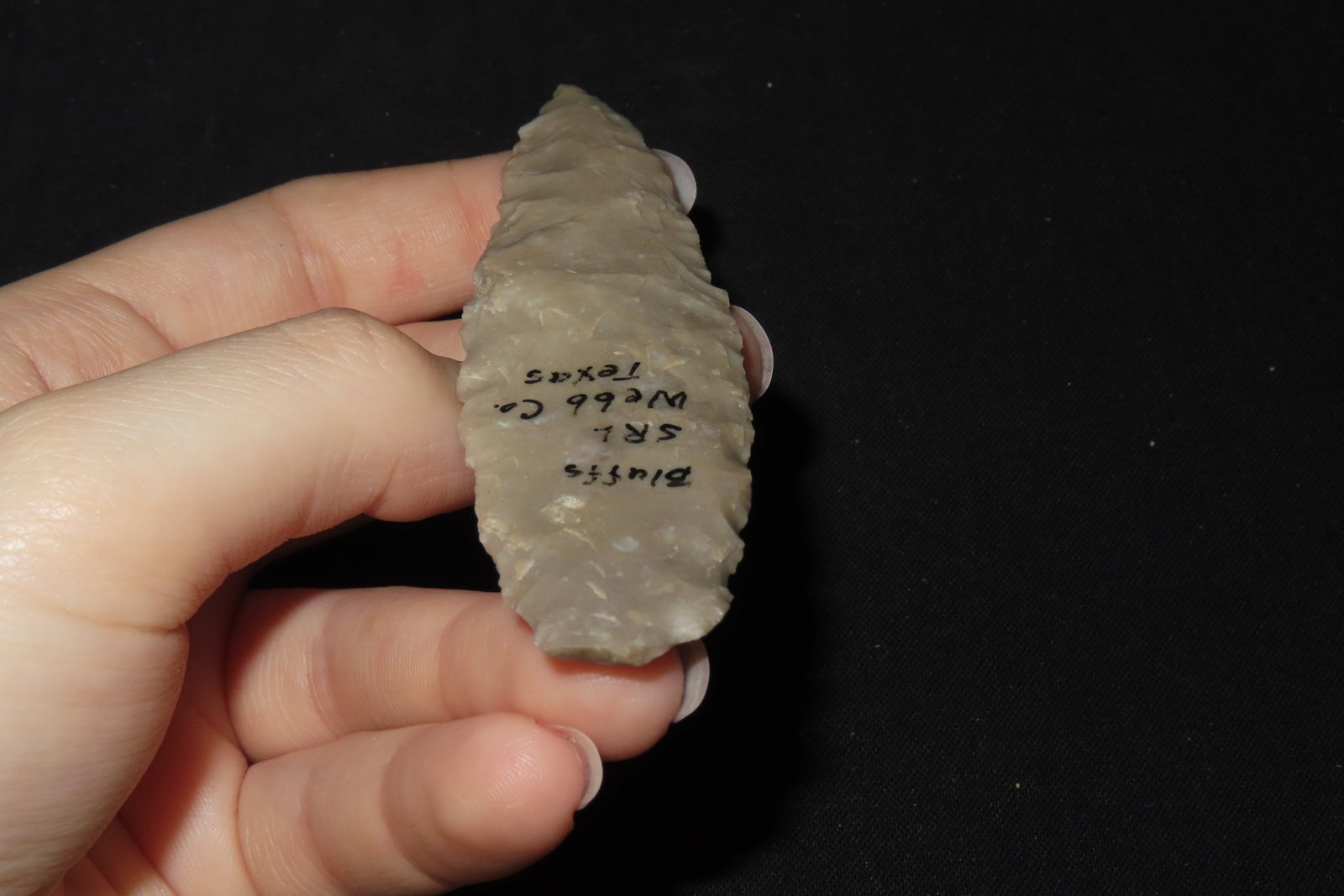 3 7/8" Lanceolate Point, Webb Co., Texas - 5
