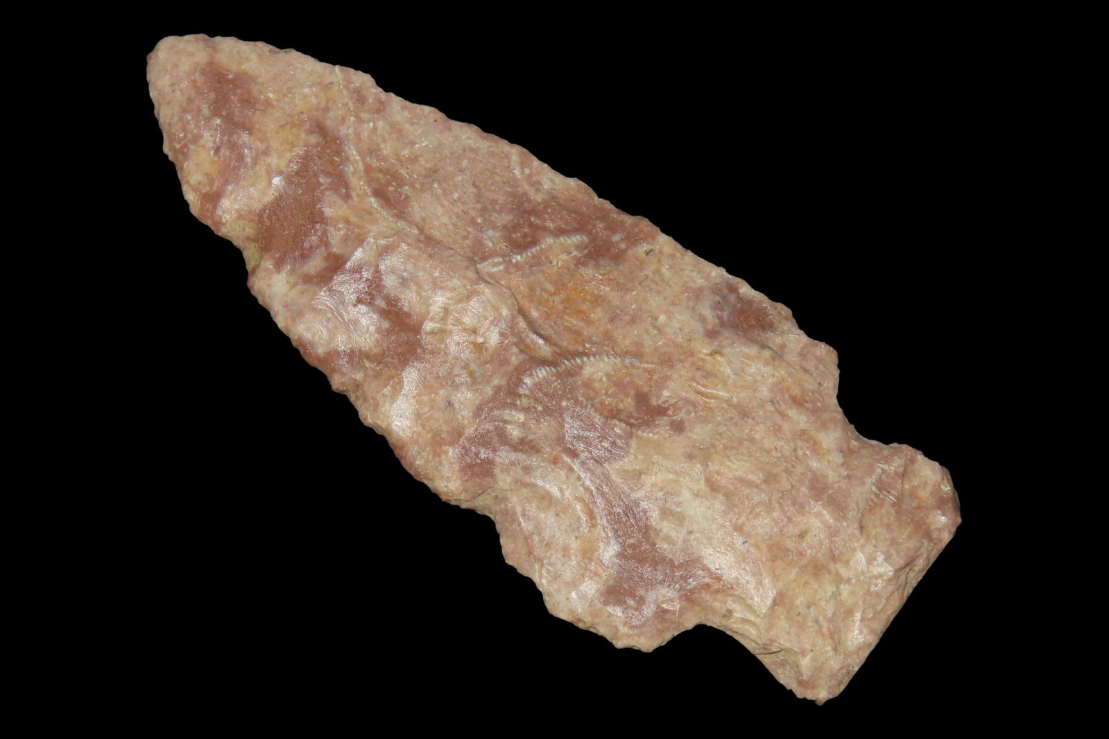 2 7/8" Square Stem Point, Clark Co., Illinois: 2 7/8" Square Stem Point, Clark Co., Illinois