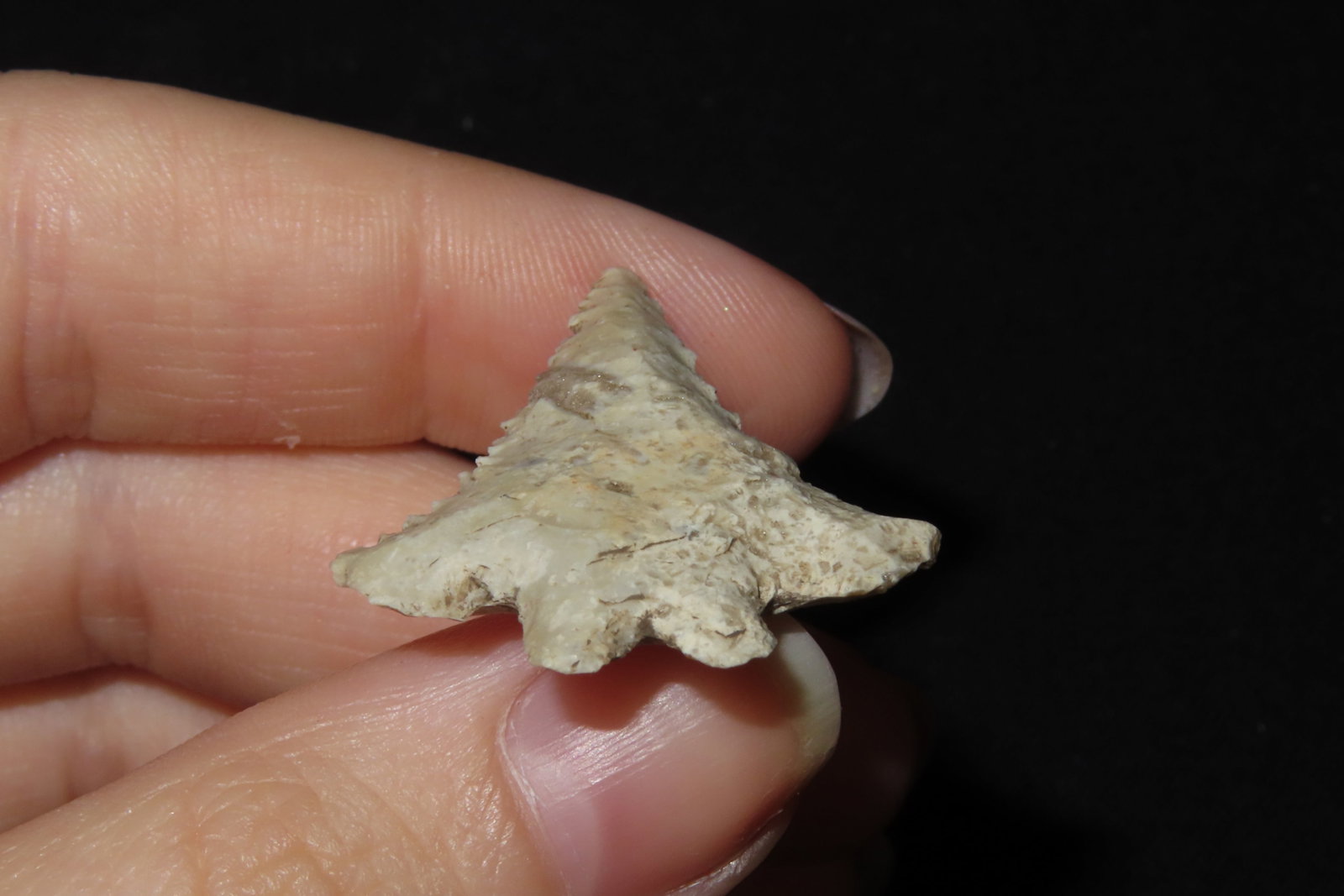 1 1/2" Fox Valley, Will Co., Illinois - 4