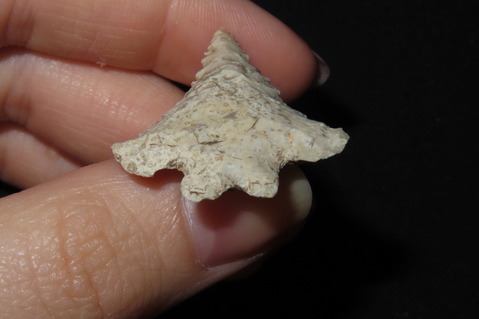 1 1/2" Fox Valley, Will Co., Illinois - 5