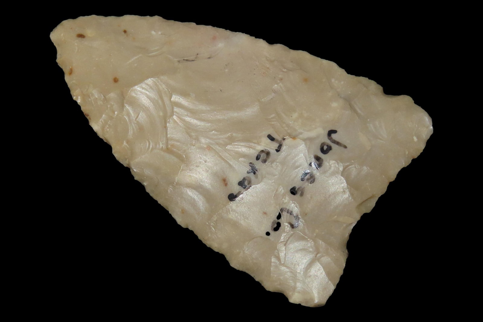 2 1/4" Friday Point, Jones Co., Texas (1 of 6)
