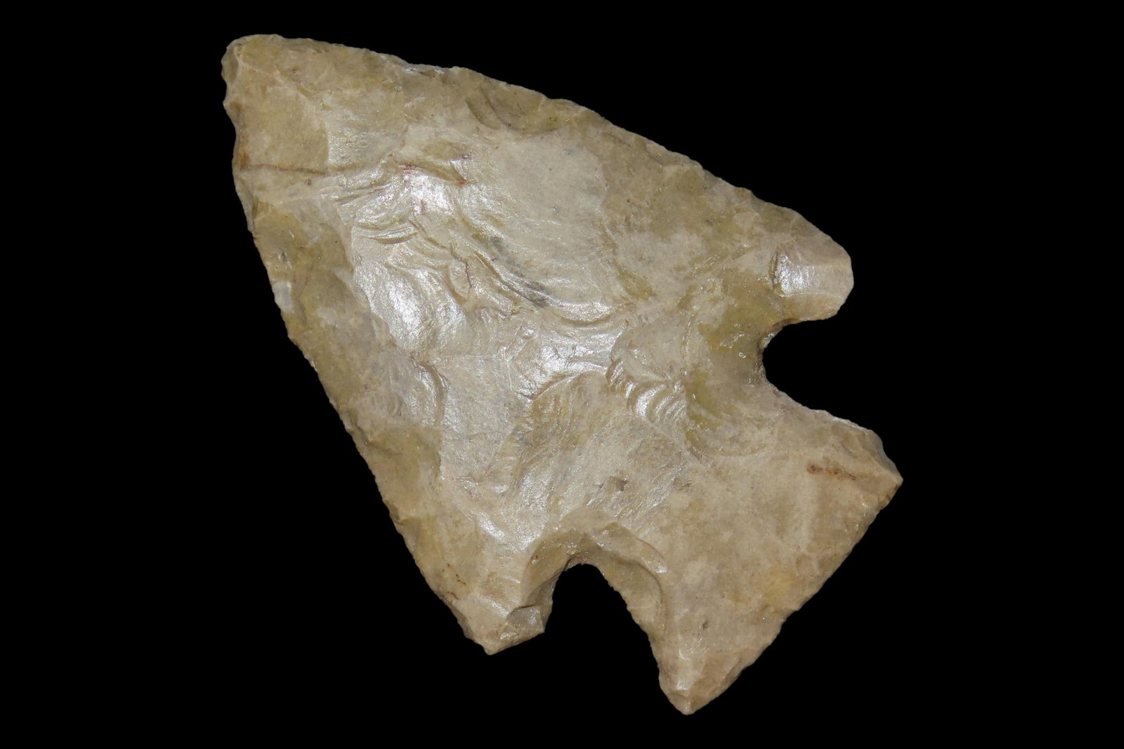 2 3/4" Woodland Point, Found in Missouri: 2 3/4" Woodland Point, Found in Missouri