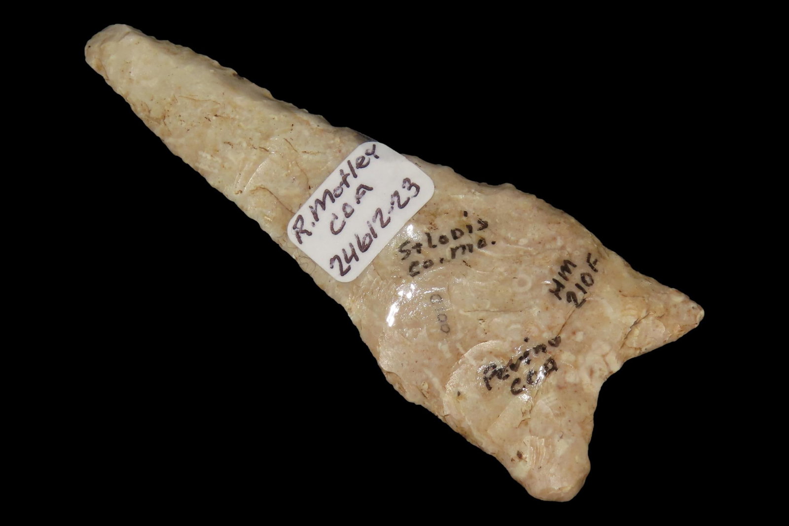 3 7/8" x 1 3/8" Dalton, Motley COA and Perino COA, St. Louis Co., Missouri, Found on the Nassal (1 of 9)