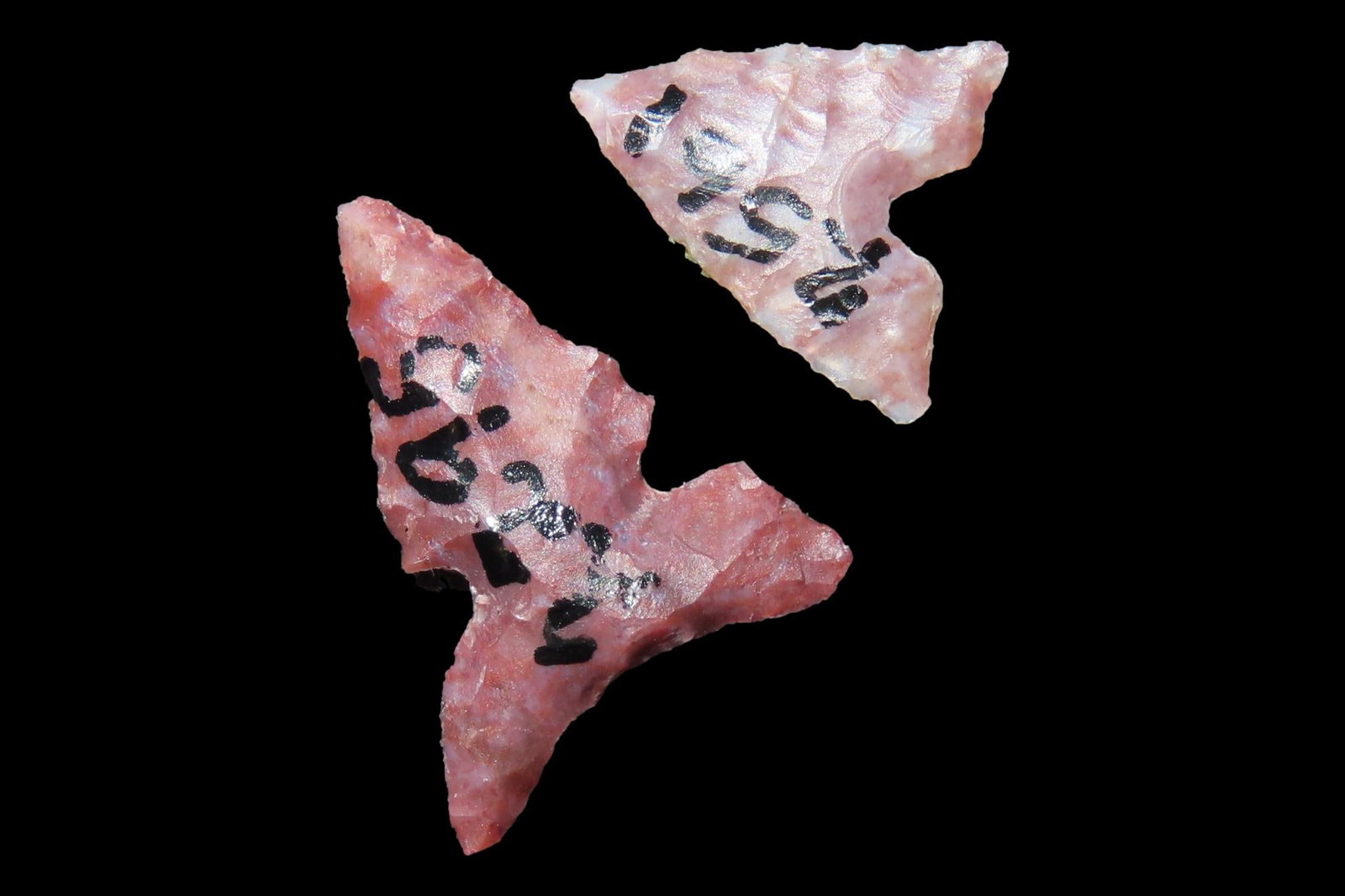 Lot of 2 Bird Points, Matador Ranch, Punta de Agua Creek, Hartley Co., Texas (1 of 10)