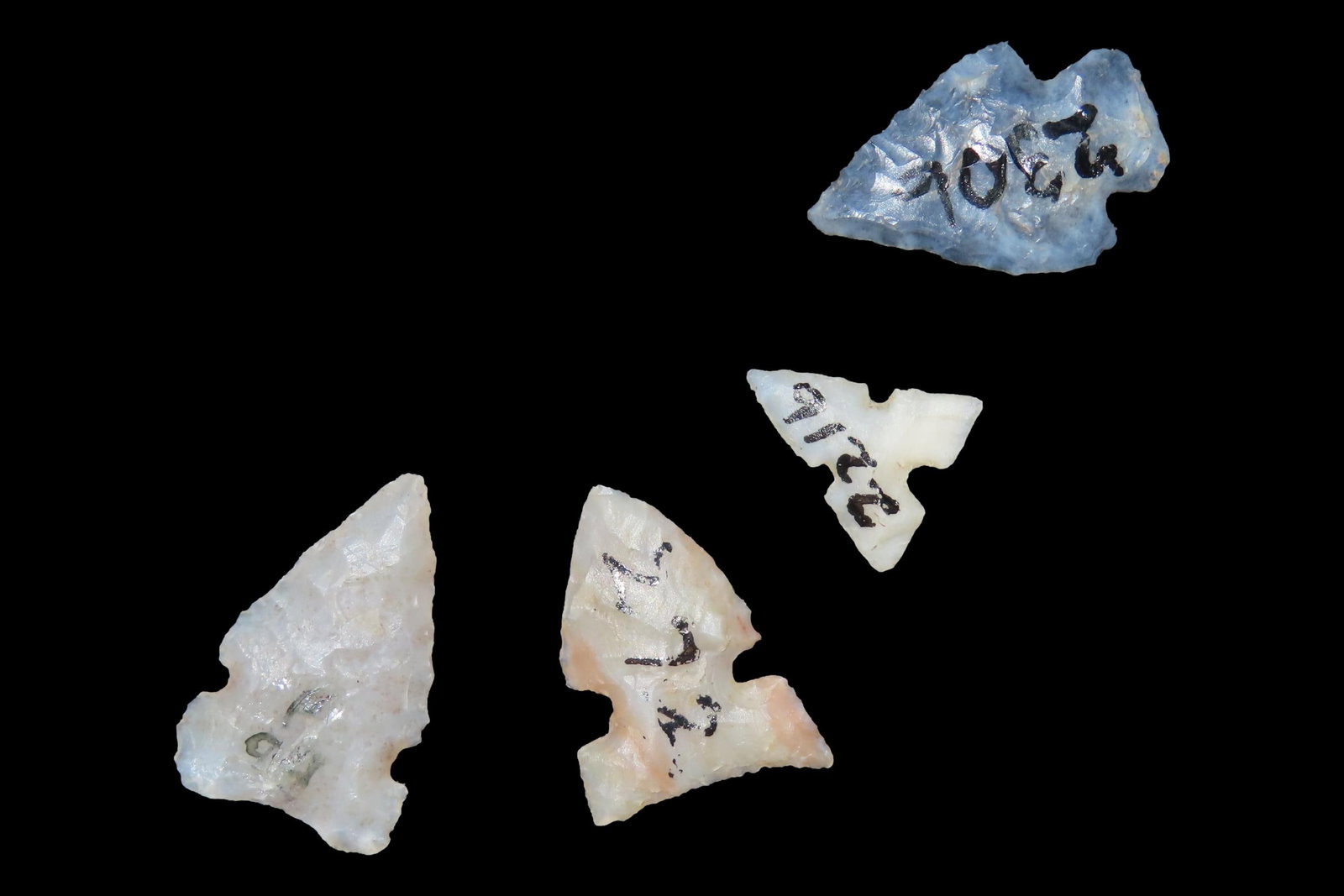 Lot of 4 Bird Points, Matador Ranch, Punta de Agua Creek, Hartley Co., Texas: Lot of 4 Bird Points, Matador Ranch, Punta de Agua Creek, Hartley Co., Texas