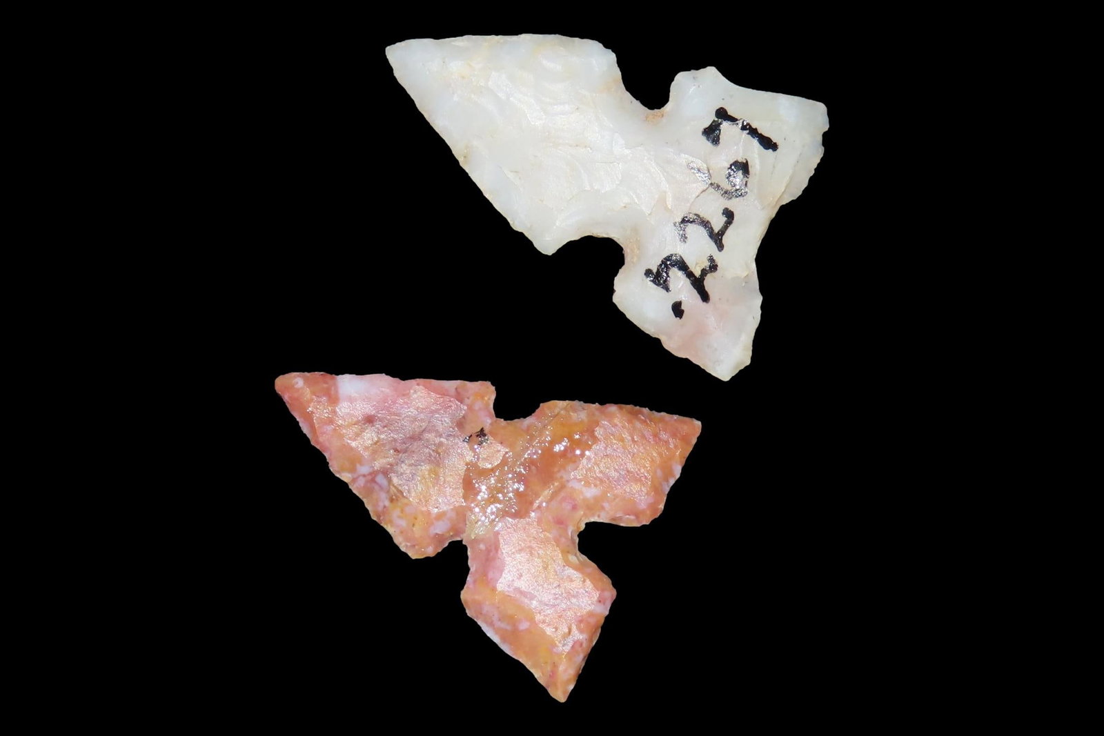 Lot of 2 Bird Points, Texas Panhandle: Lot of 2 Bird Points, Texas Panhandle