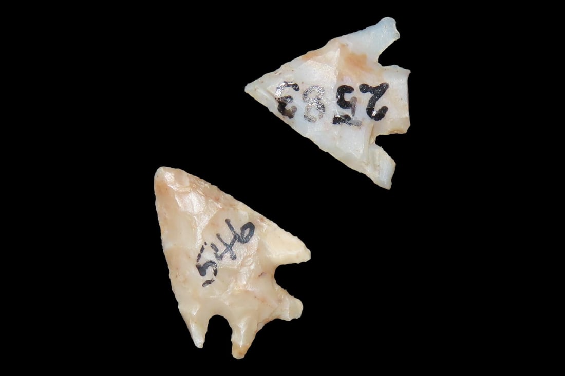 Lot of 2 Bird Points, Texas Panhandle: Lot of 2 Bird Points, Texas Panhandle