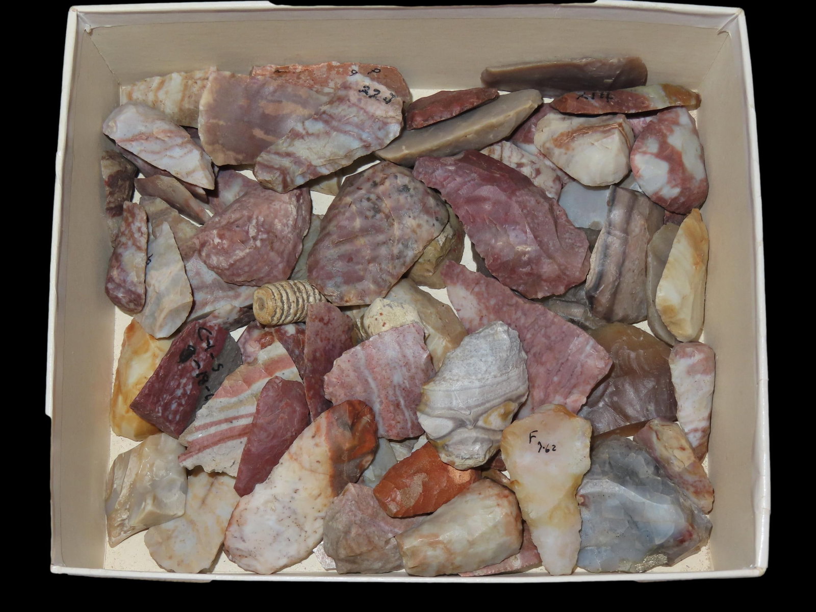 Lot of Thumb Scrapers, Alibates Material, New Mexico (1 of 7)