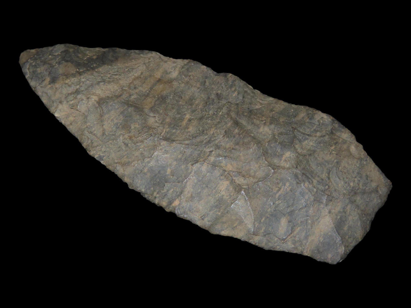 3 5/8" Archaic Blade, Dover Chert: 3 5/8" Archaic Blade, Dover Chert