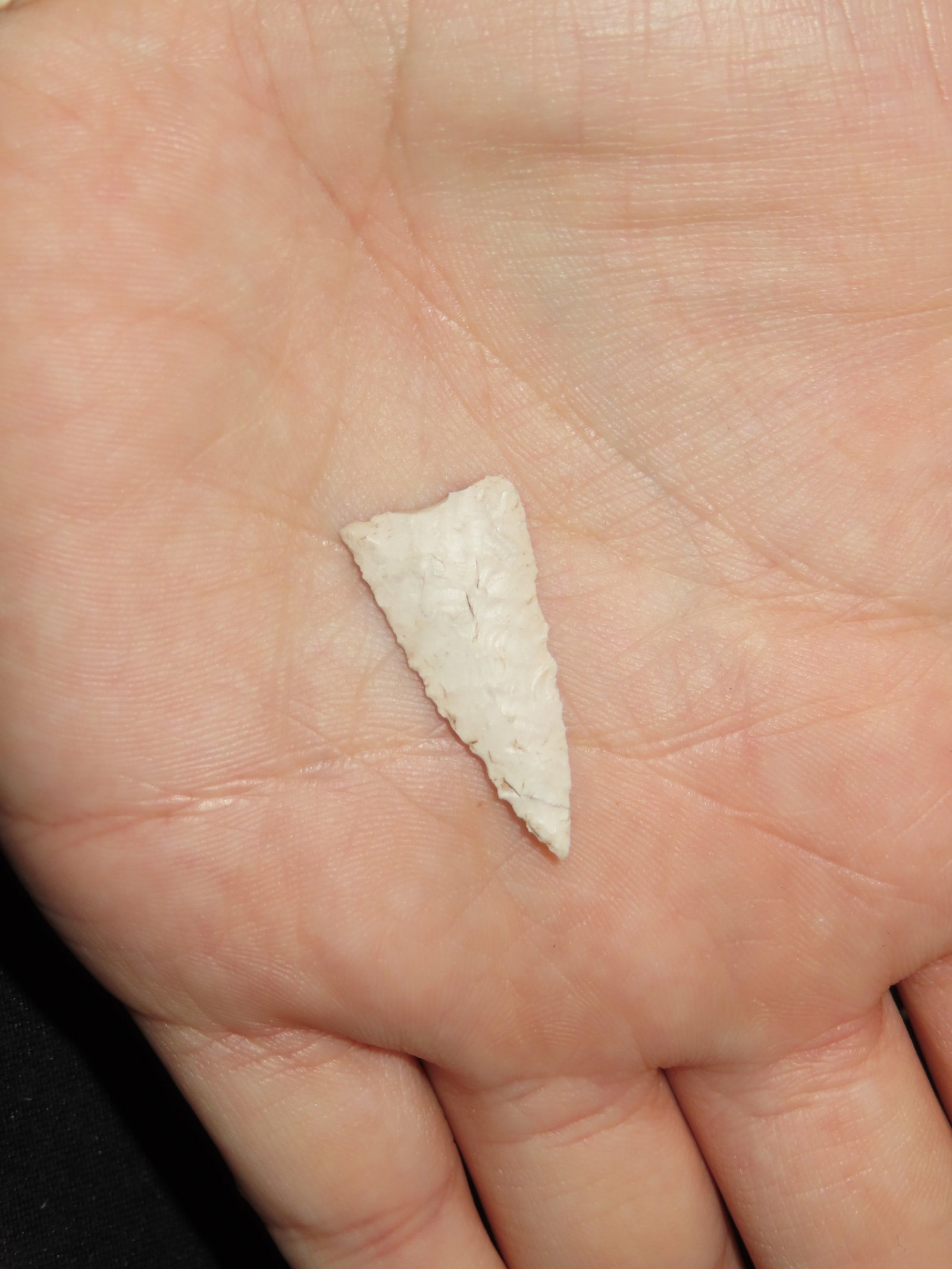 1 1/8" Fine Triangular Bird Point, Kansas - 2
