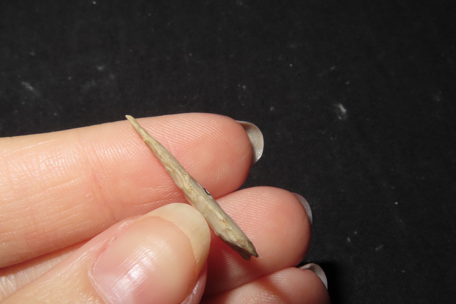 1" Fine Triangular Bird Point, Kansas - 3