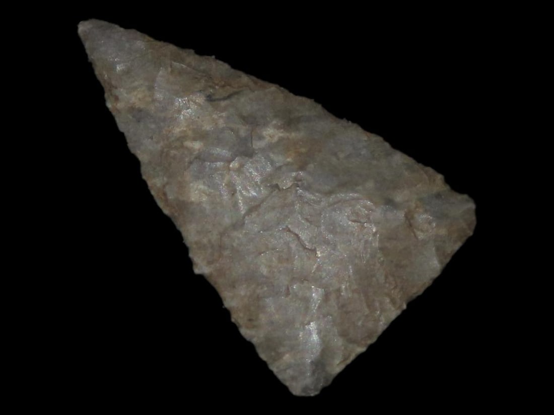 1" Fine Triangular Bird Point, Kansas (1 of 4)