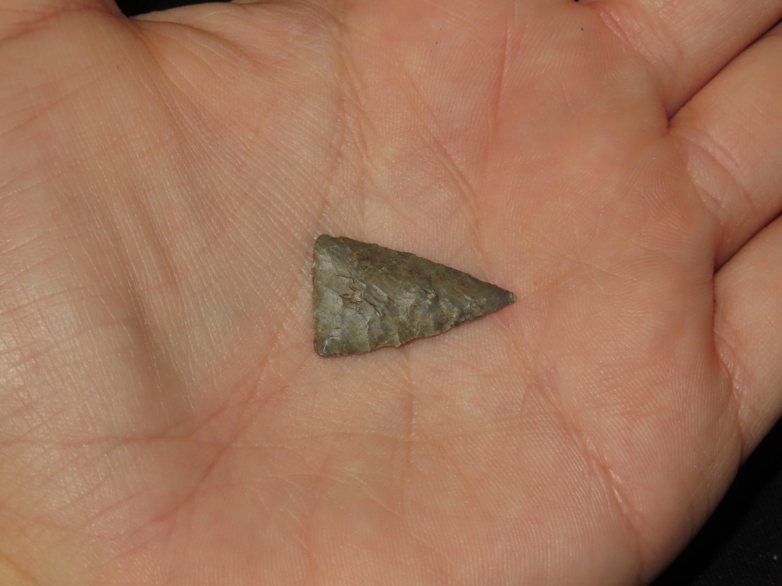 1" Fine Triangular Bird Point, Kansas - 2