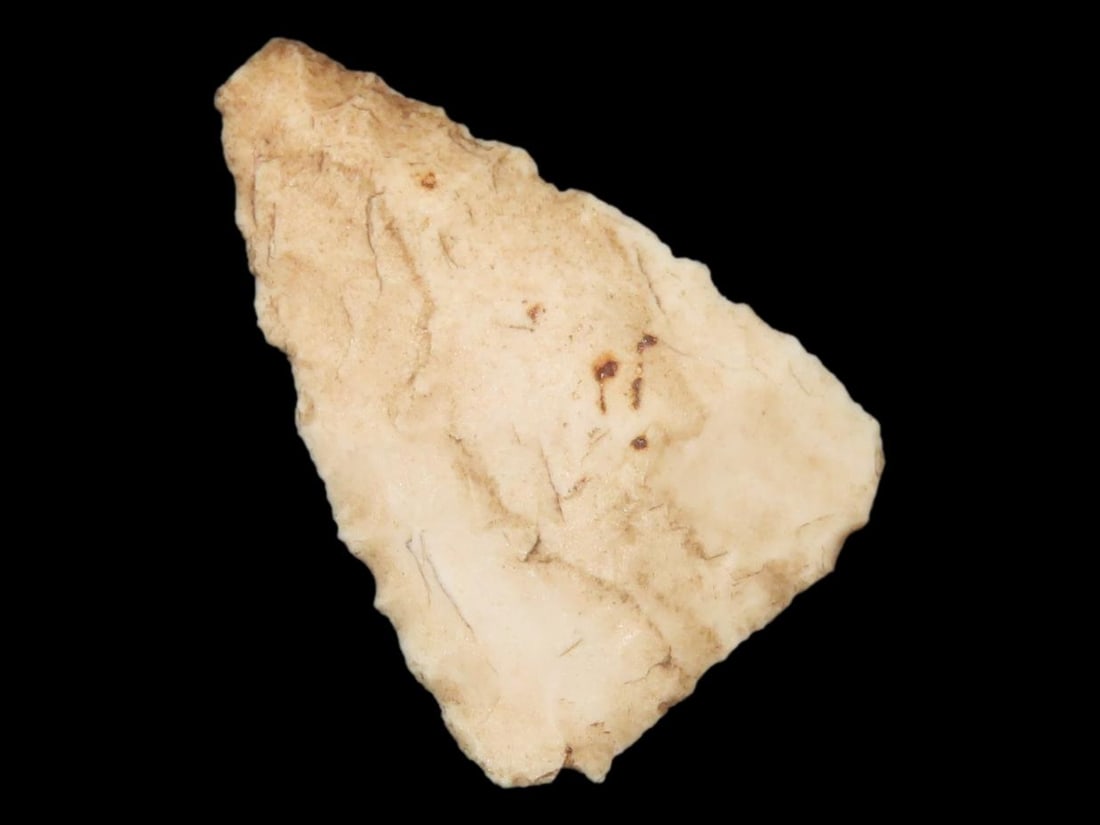 1" Fine Triangular Bird Point, Kansas (1 of 5)