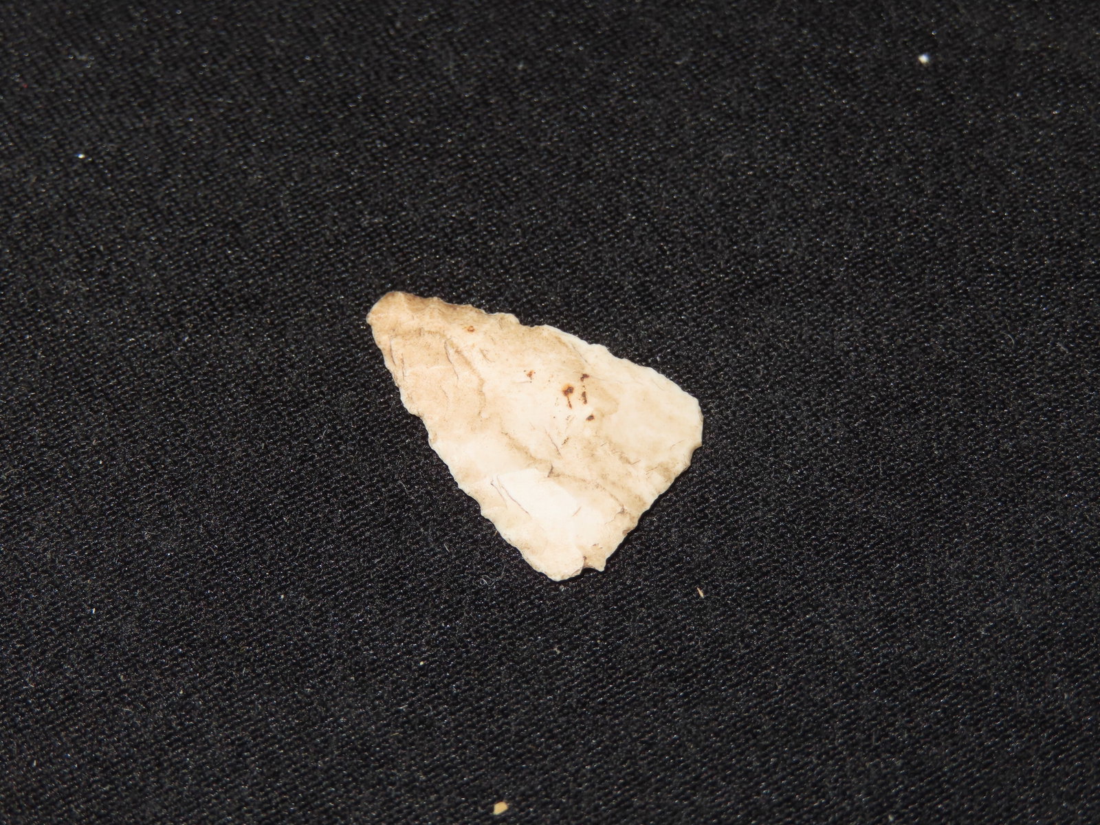1" Fine Triangular Bird Point, Kansas - 2