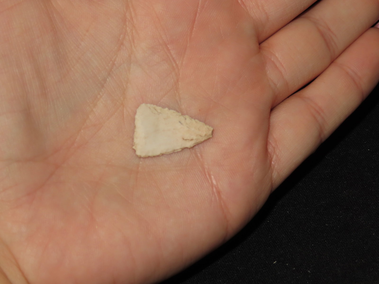 1" Fine Triangular Bird Point, Kansas - 3