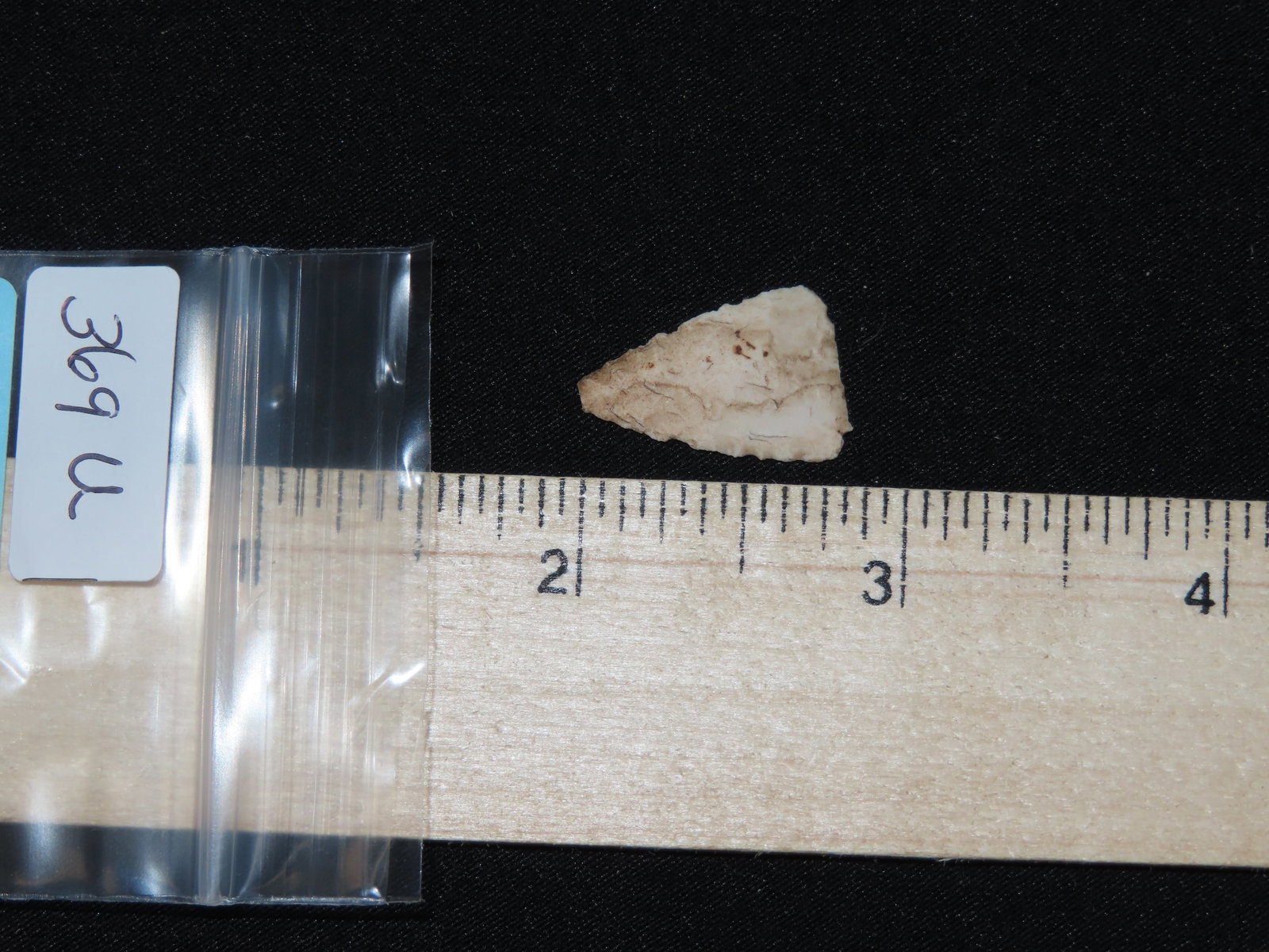 1" Fine Triangular Bird Point, Kansas - 5