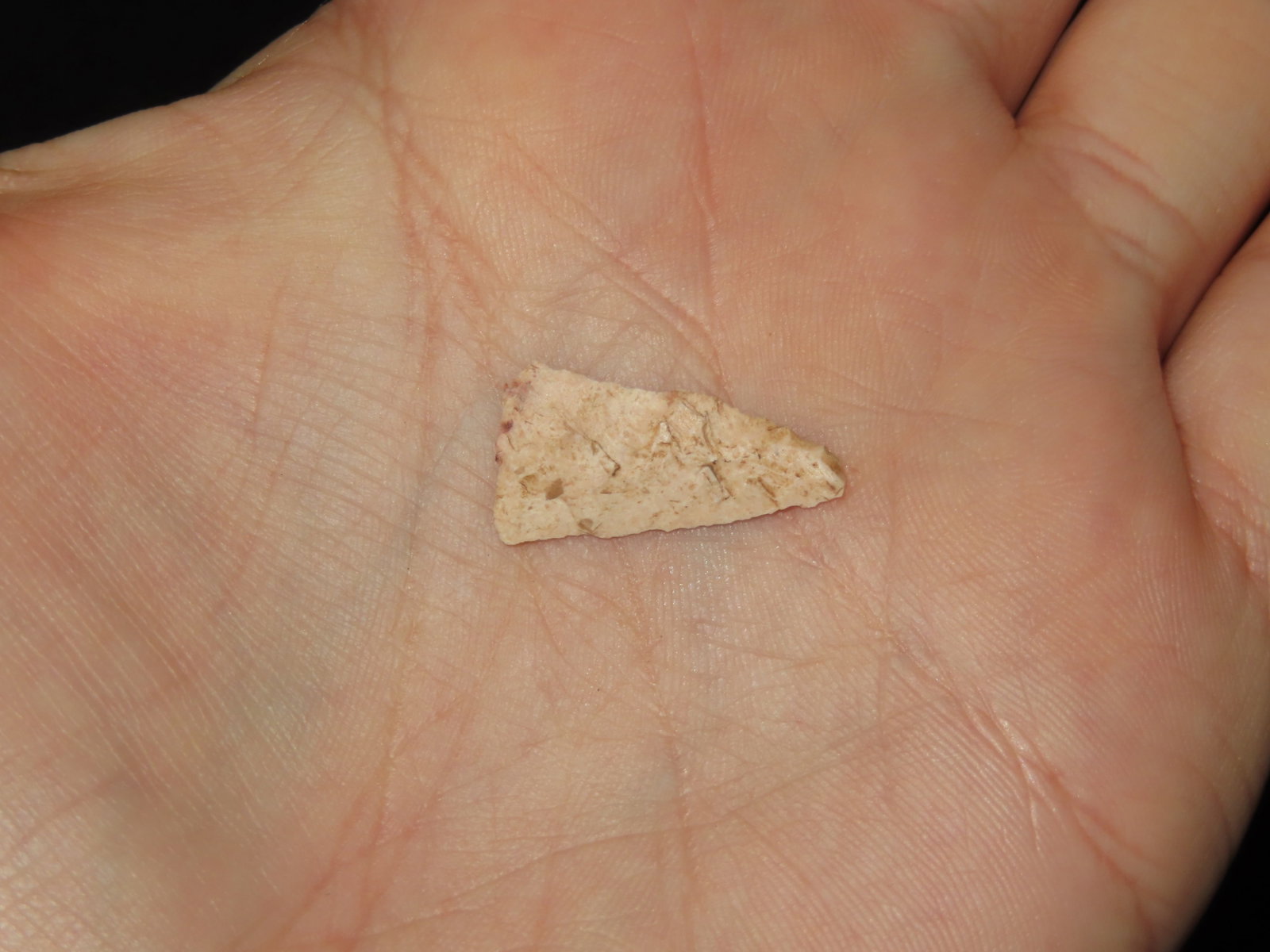 3/4" Fine Triangular Bird Point, Kansas - 2