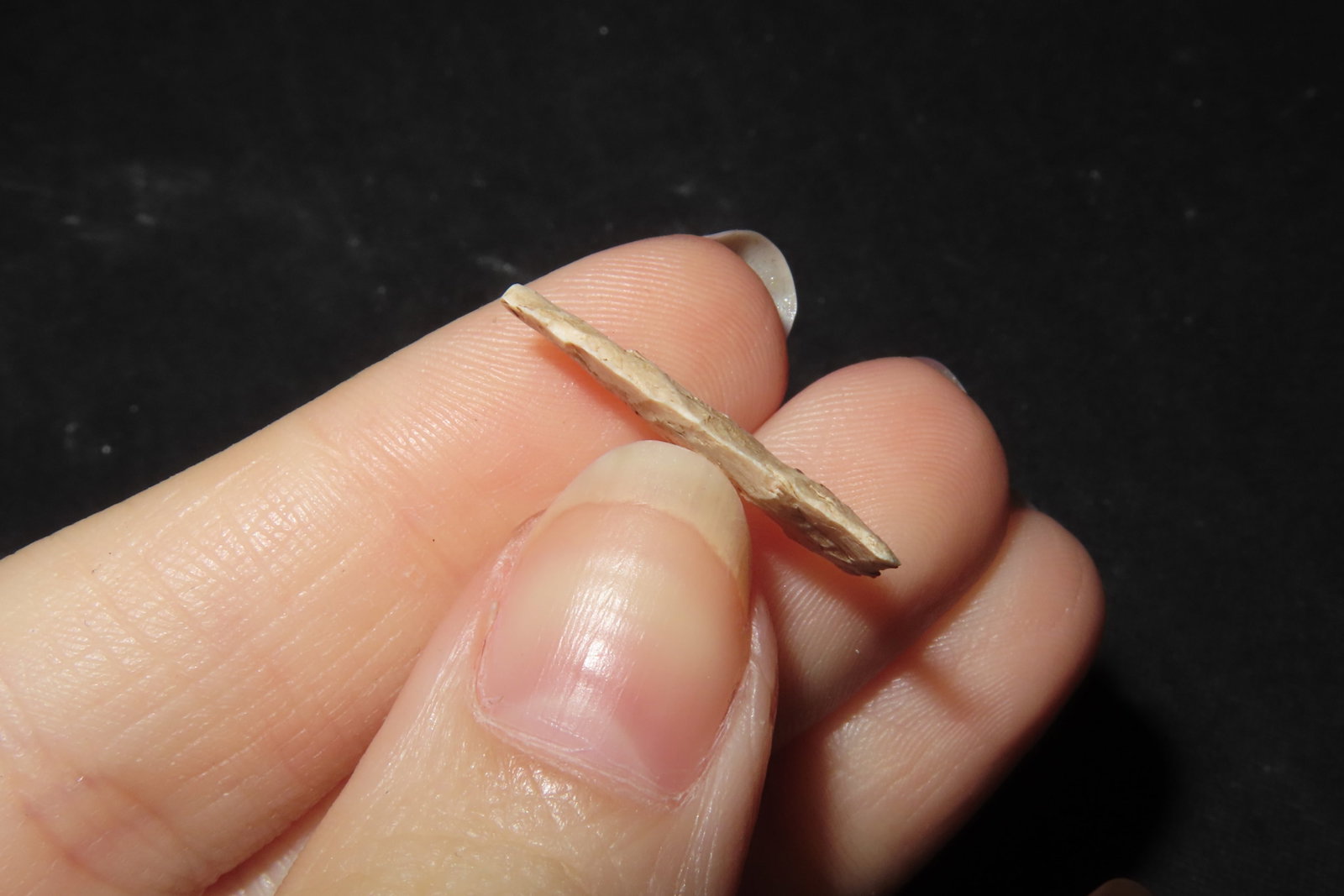 3/4" Fine Triangular Bird Point, Kansas - 3