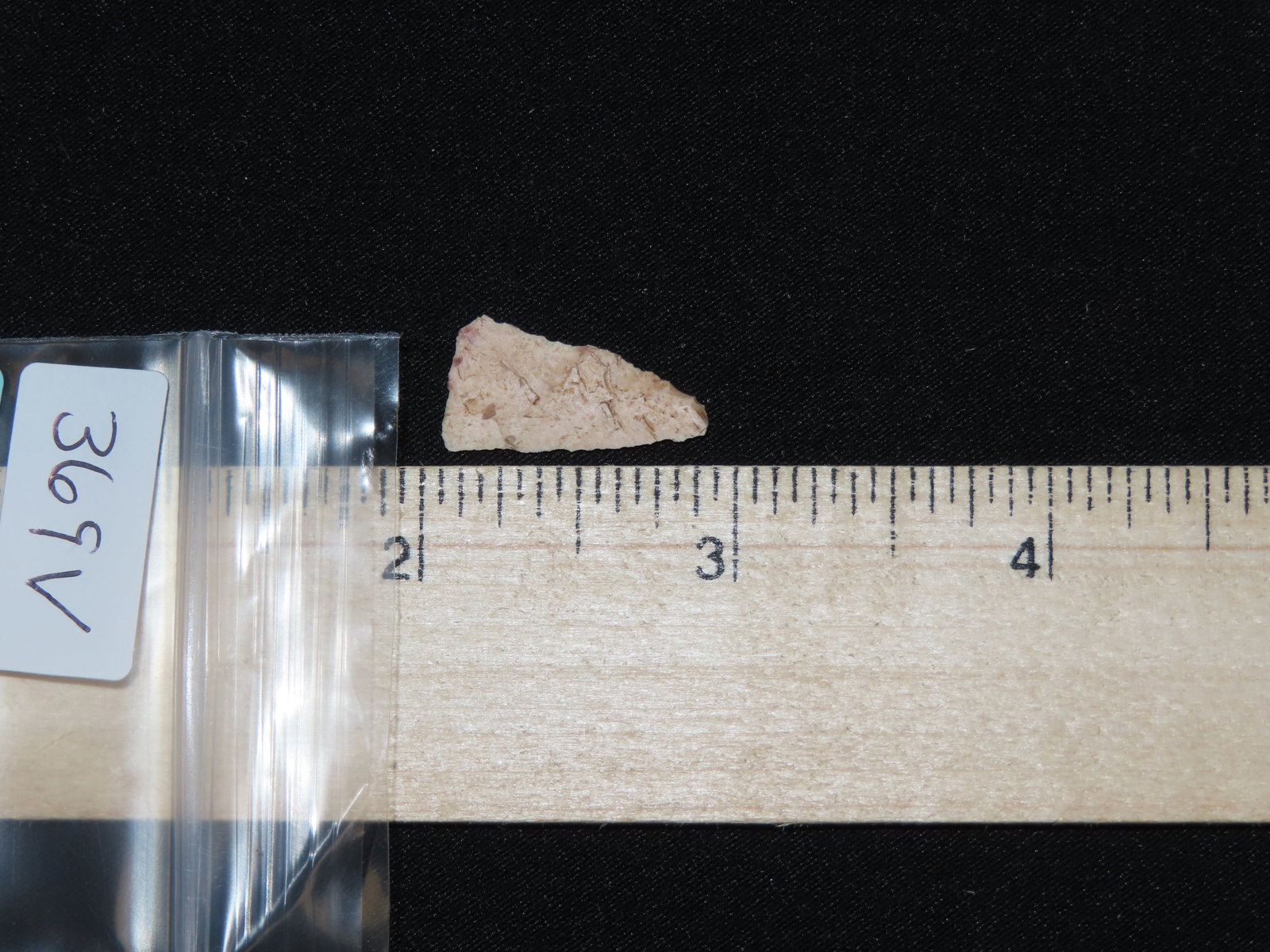 3/4" Fine Triangular Bird Point, Kansas - 4