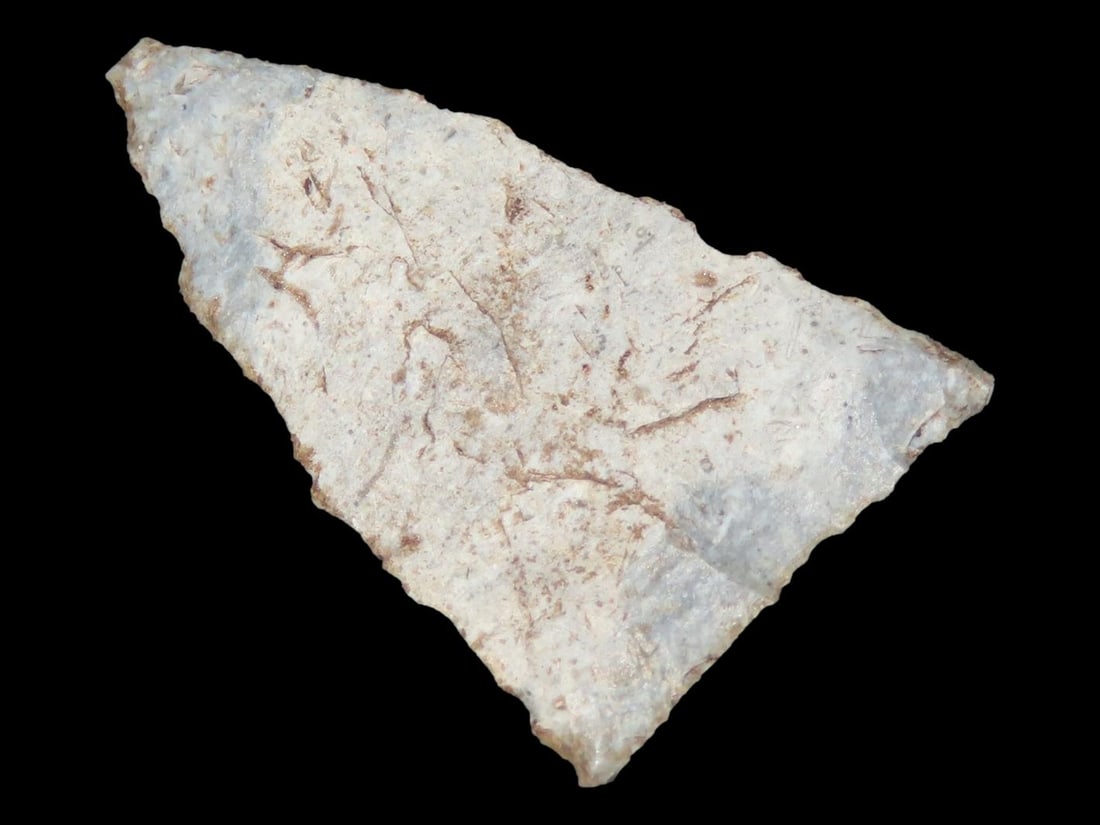 1" Fine Triangular Bird Point, Kansas (1 of 4)