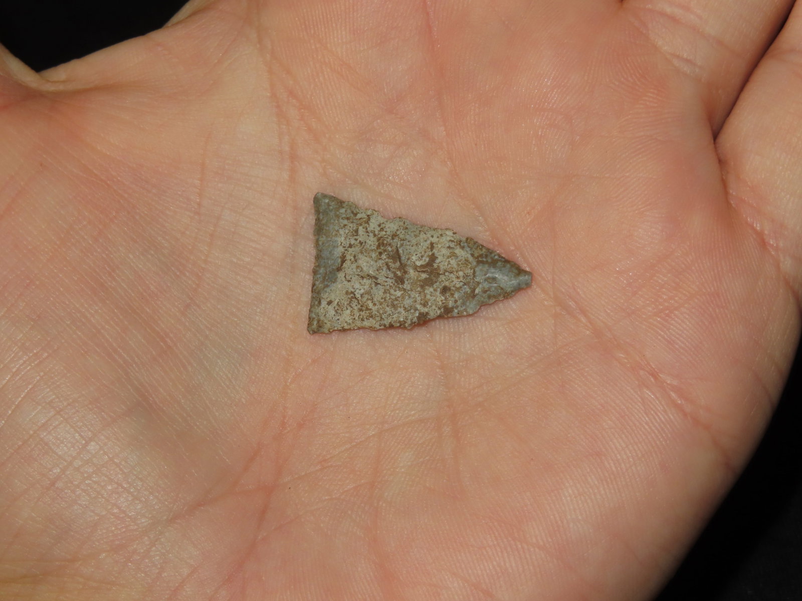 1" Fine Triangular Bird Point, Kansas - 2