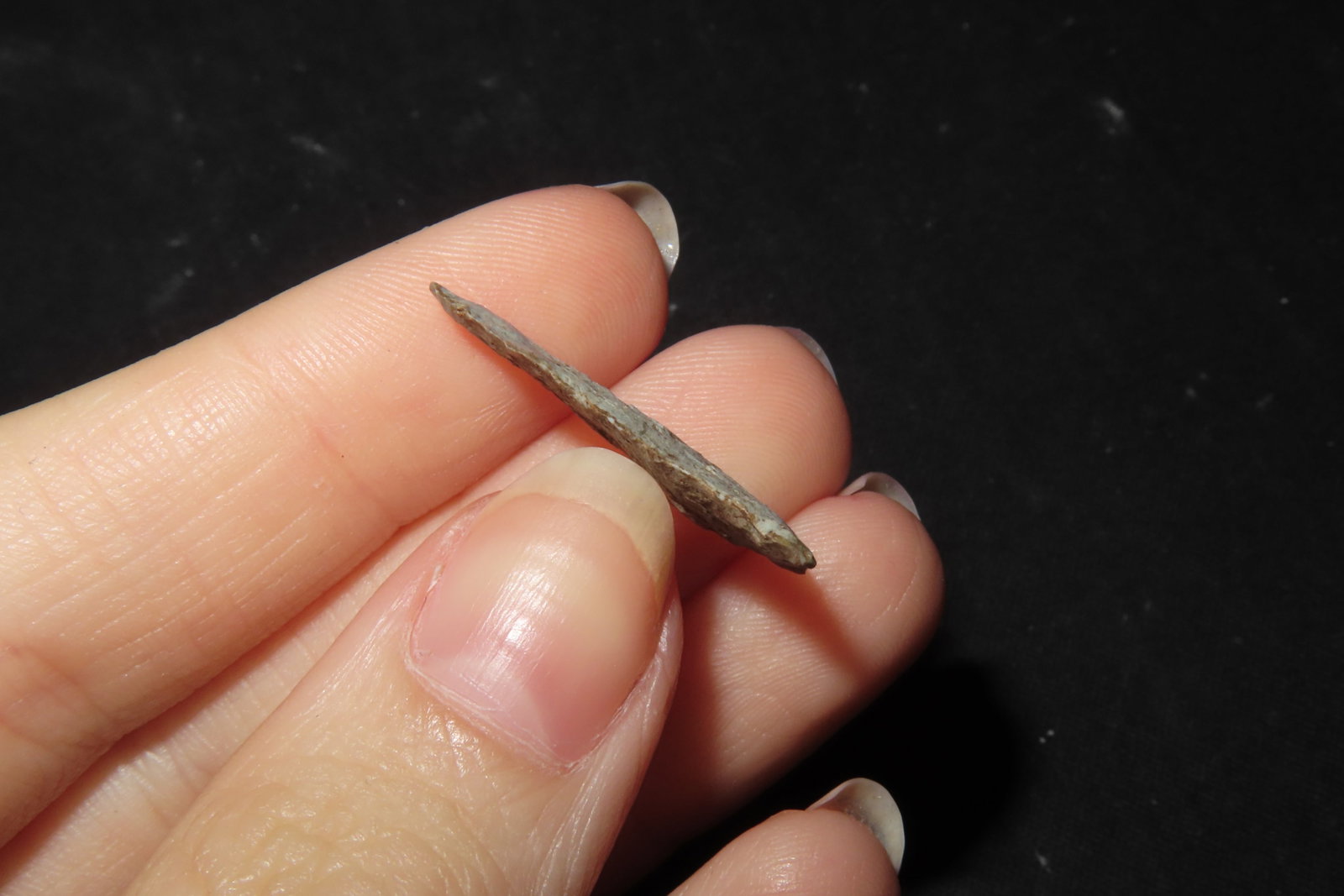 1" Fine Triangular Bird Point, Kansas - 3