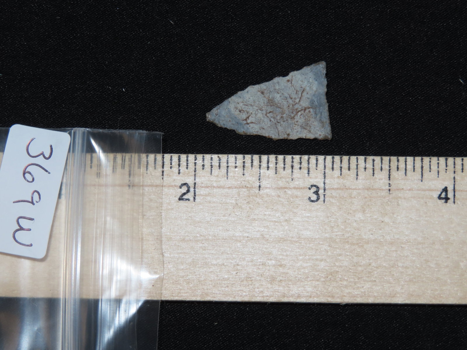 1" Fine Triangular Bird Point, Kansas - 4