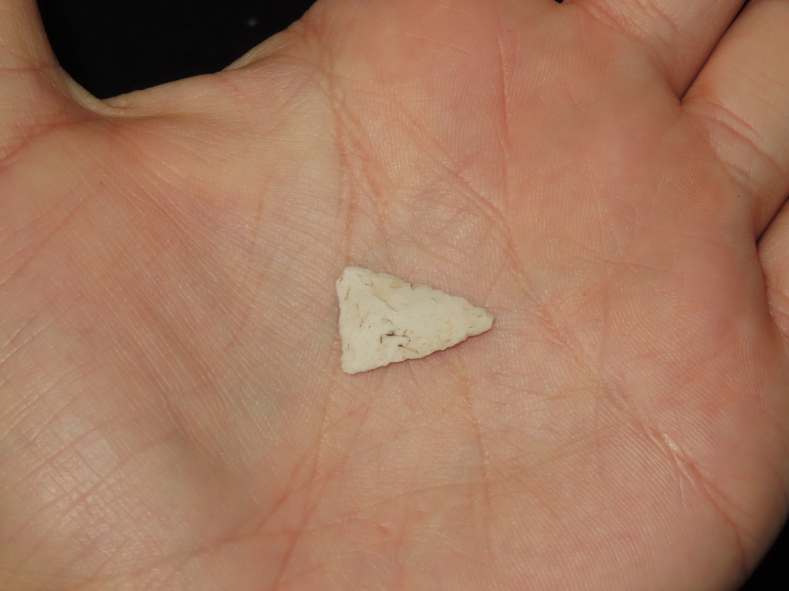 5/8" Fine Triangular Bird Point, Kansas - 2