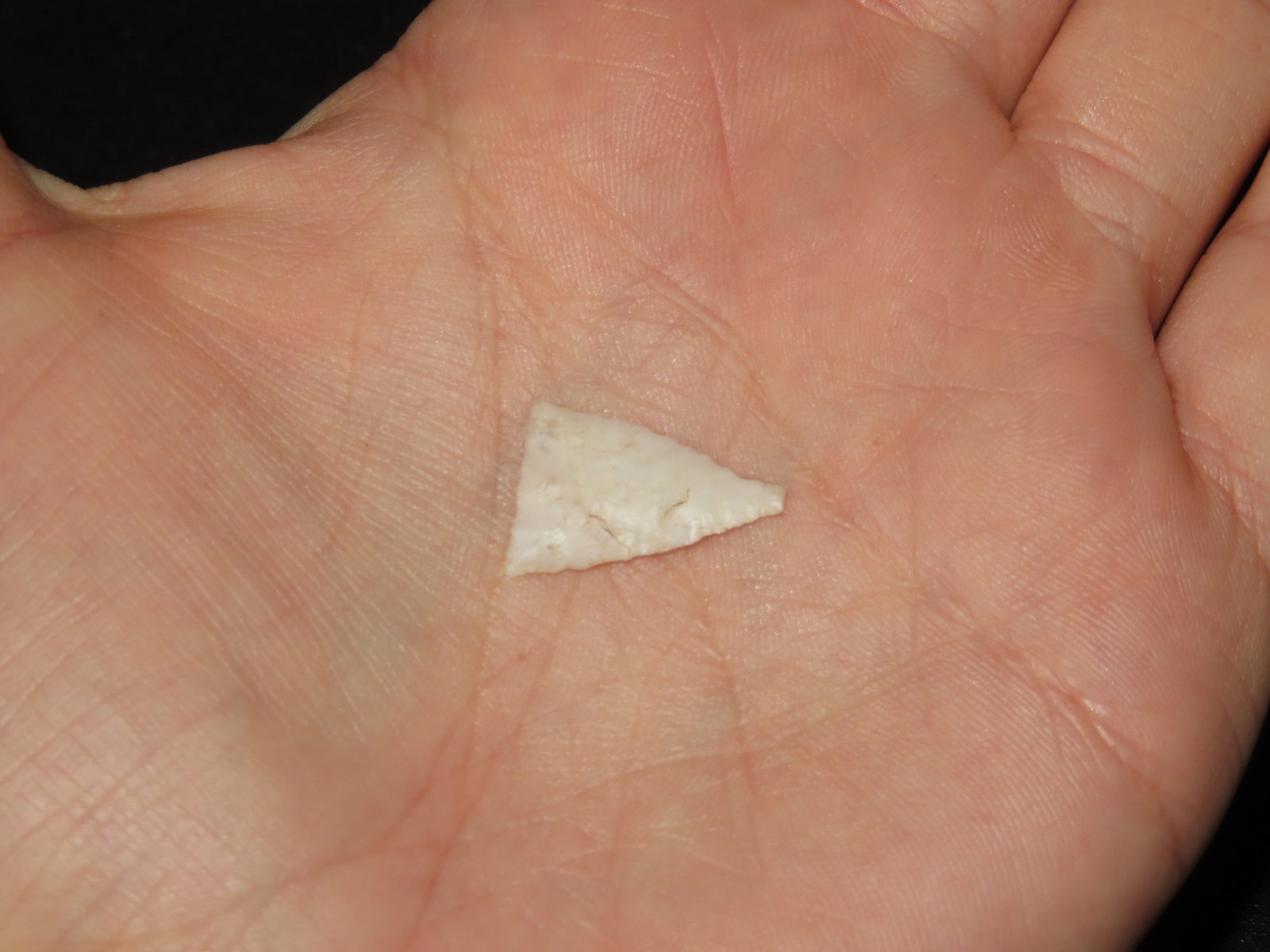 3/4" Fine Triangular Bird Point, Kansas - 2