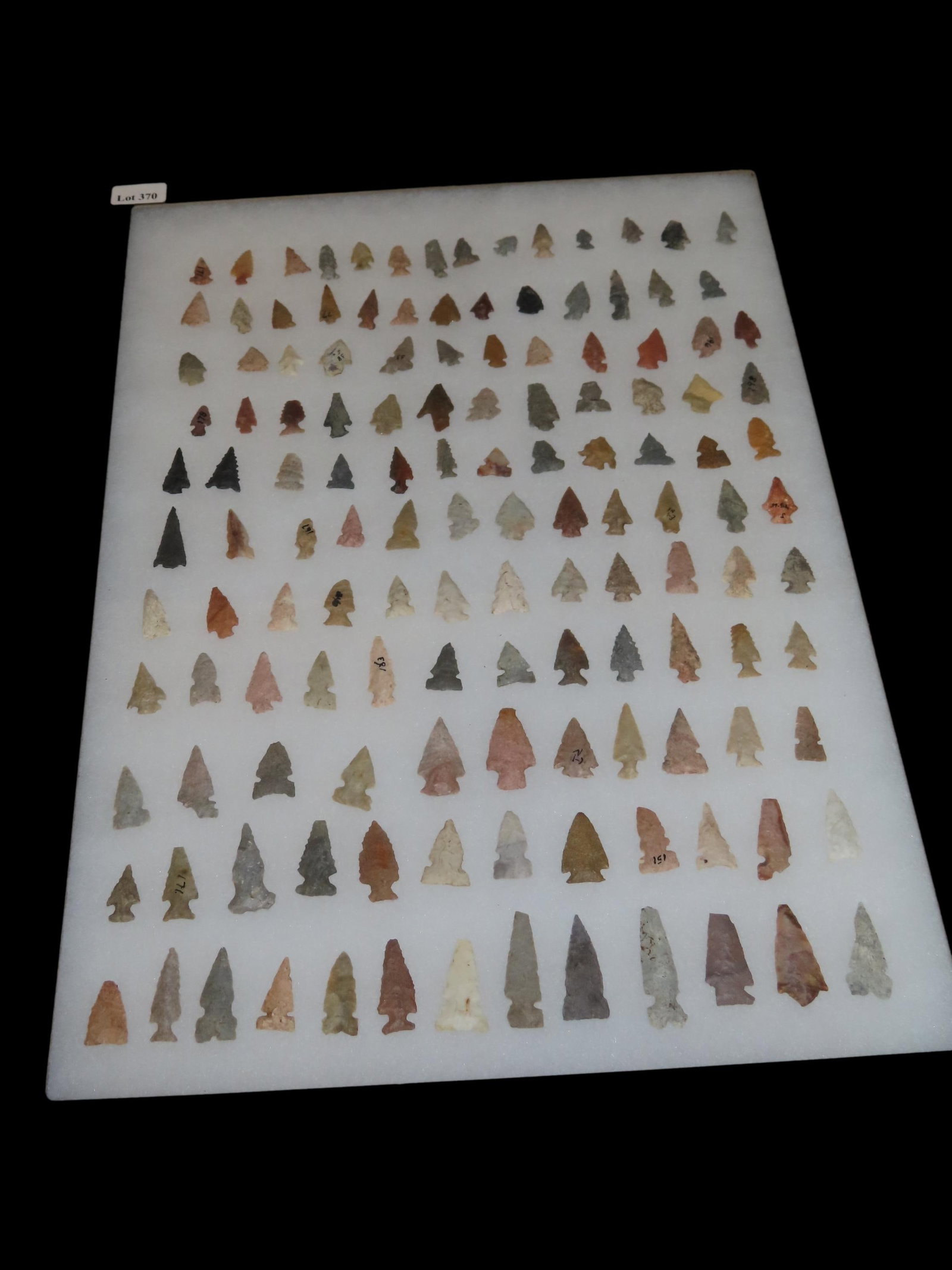 12" x 18" Riker Frame of Miscellaneous Bird Points, Kansas, Nice Frame Showing Different Examples: 12" x 18" Riker Frame of Miscellaneous Bird Points, Kansas, Nice Frame Showing Different Examples