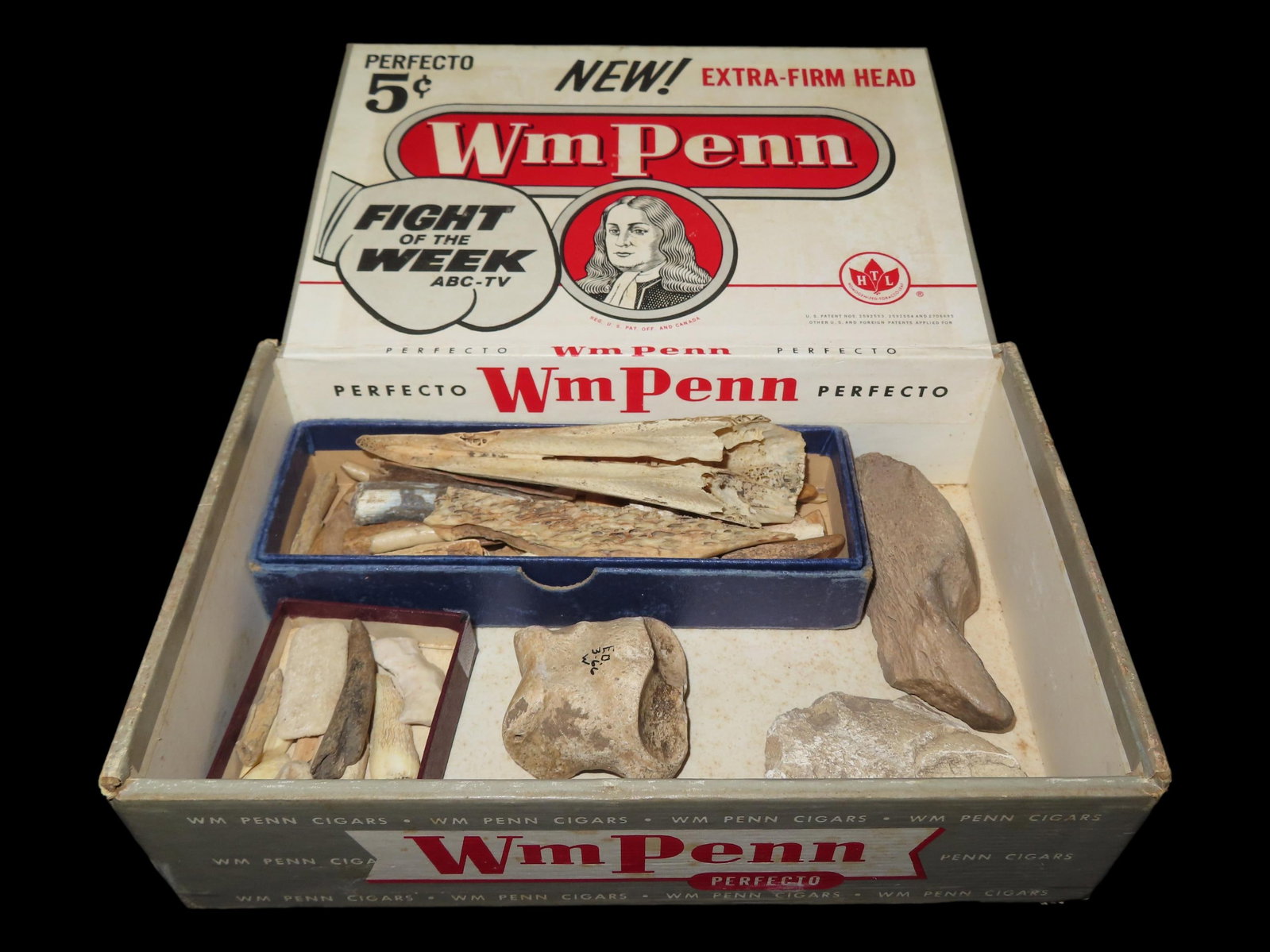 Lot of Miscellaneous Bone Tools, Awls, and Teeth: Lot of Miscellaneous Bone Tools, Awls, and Teeth