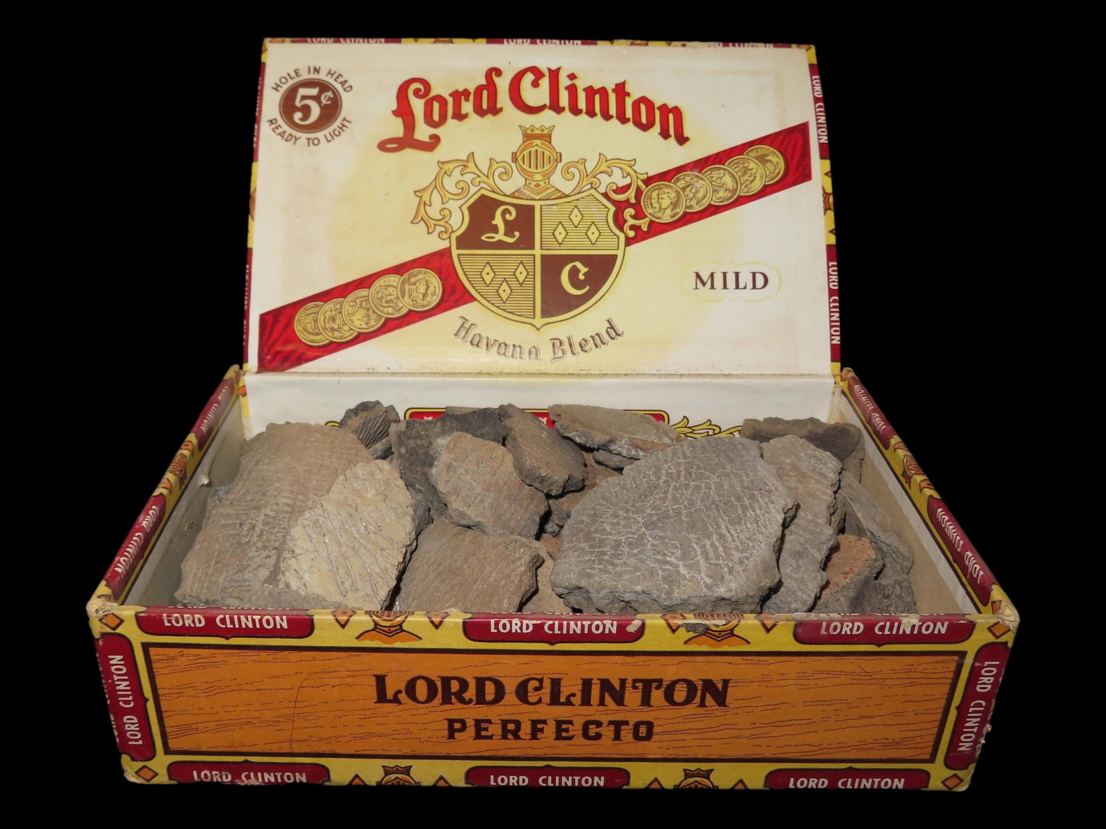 Box of Miscellaneous Pottery Shards, Dakotas, Great Examples for Study: Box of Miscellaneous Pottery Shards, Dakotas, Great Examples for Study