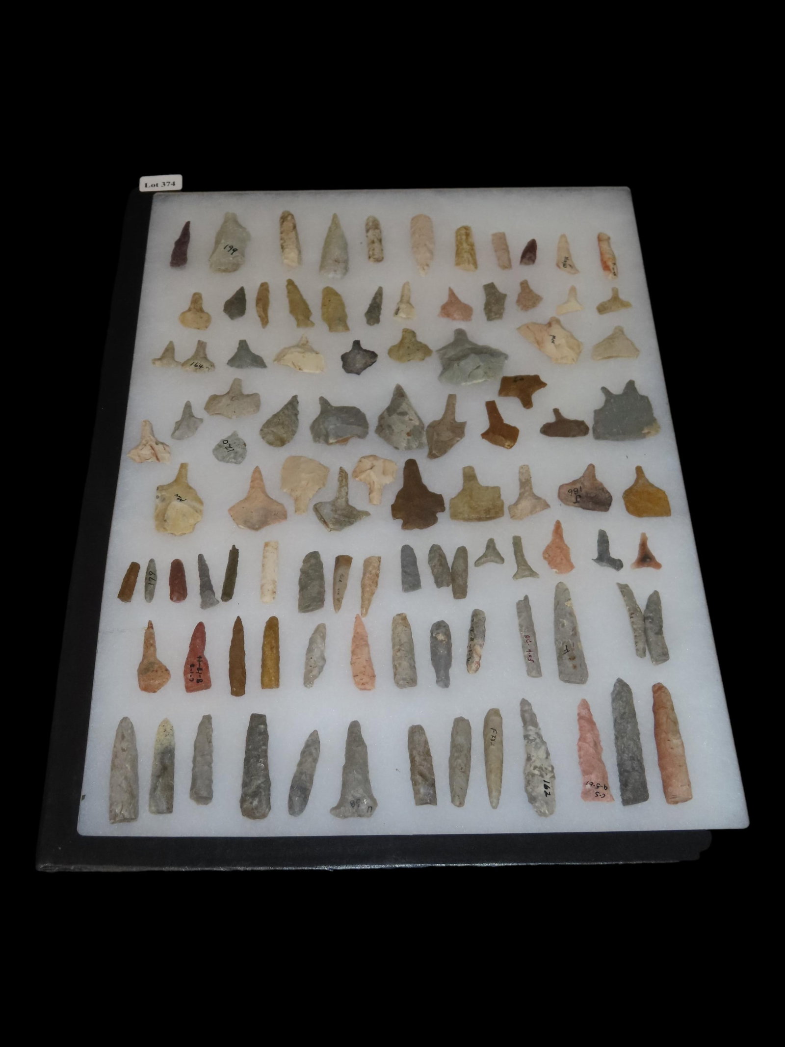 12" x 18" Riker Frame of Miscellaneous Drills, Kansas (1 of 6)