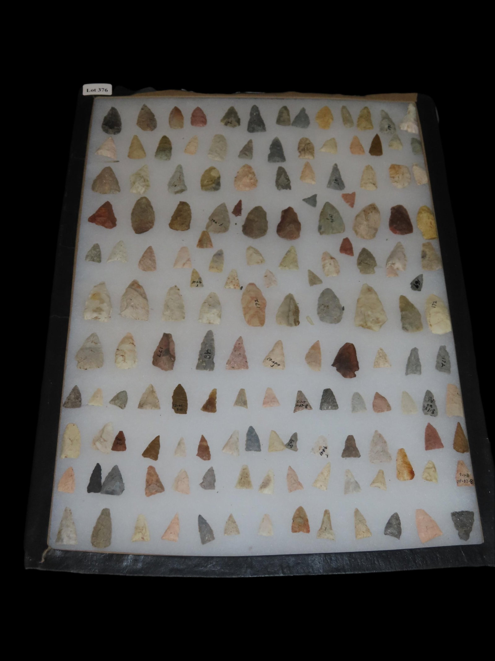 12" x 18" Riker Frame of Triangular and Round Base Bird Points: 12" x 18" Riker Frame of Triangular and Round Base Bird Points