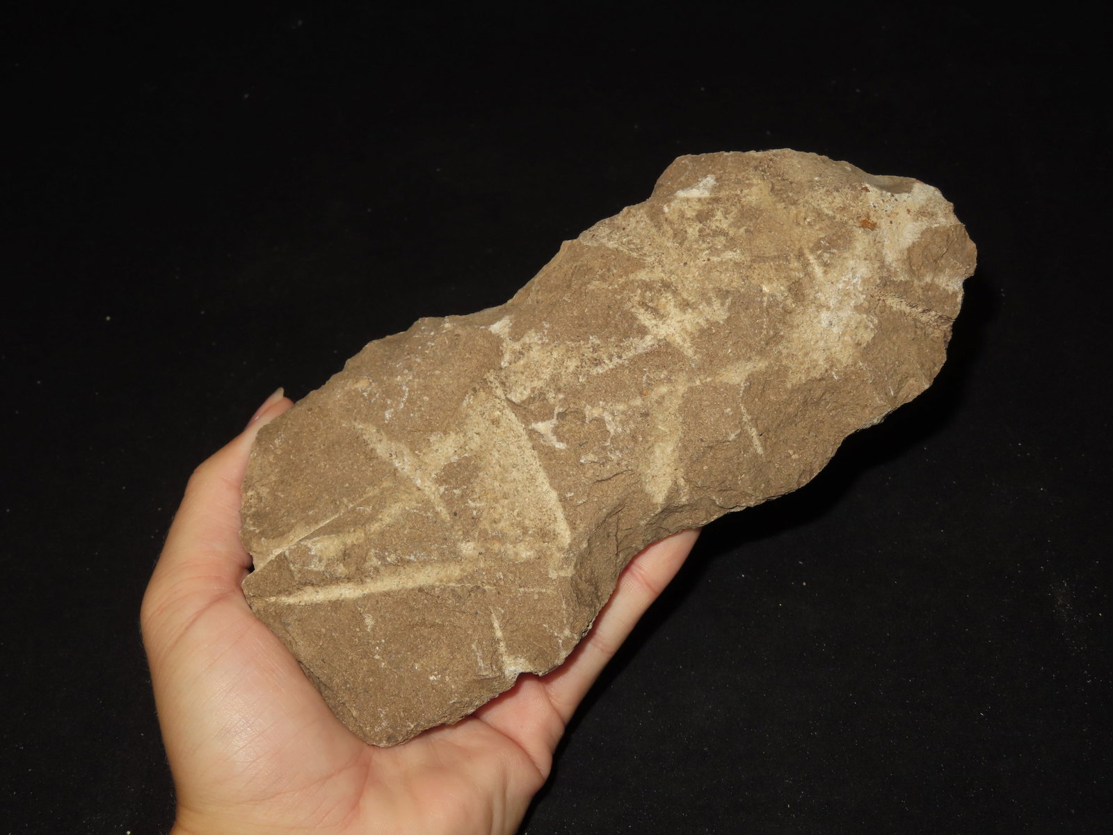 7 3/4" Flint Axe, Kansas - 2