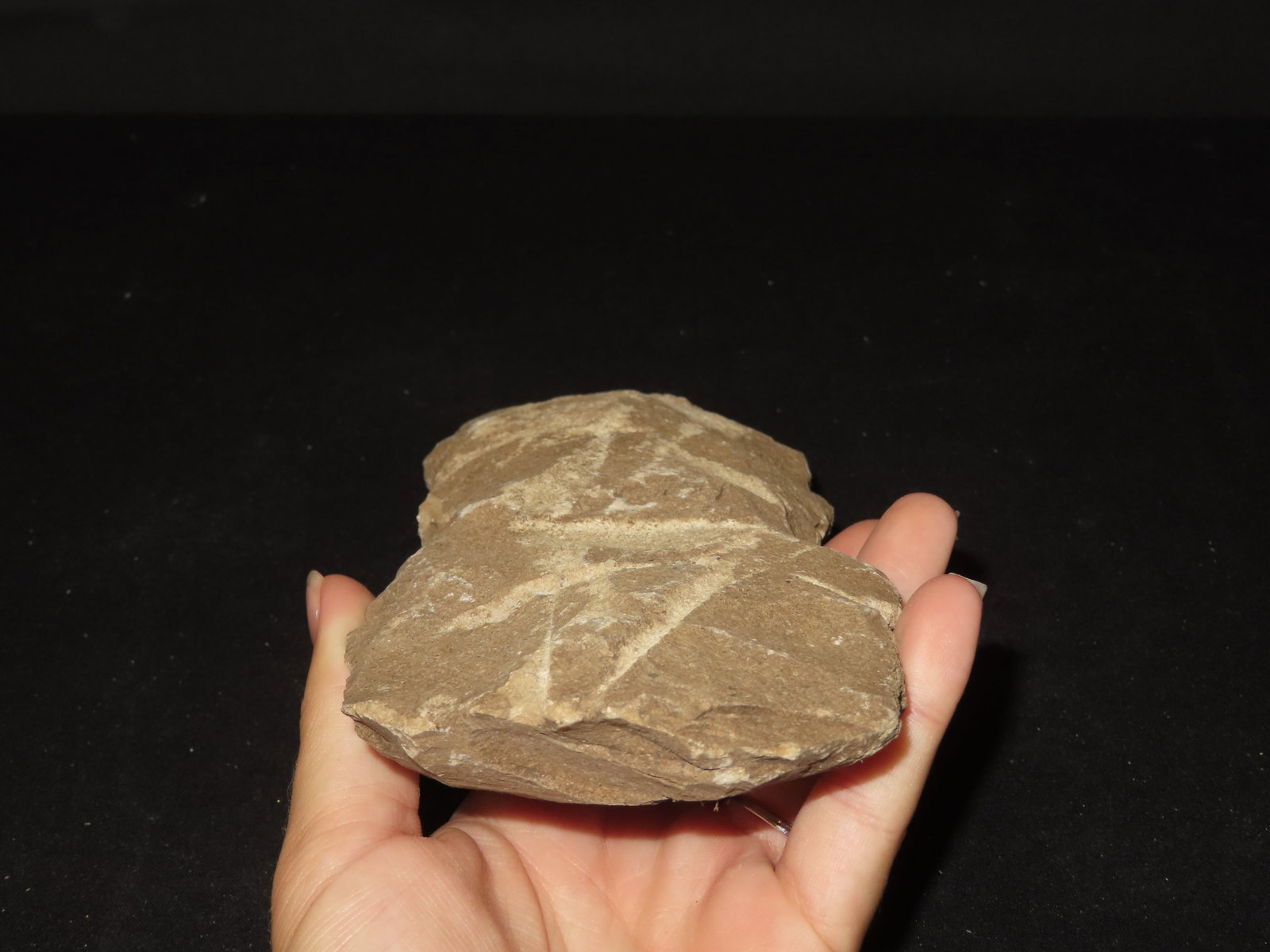 7 3/4" Flint Axe, Kansas - 4